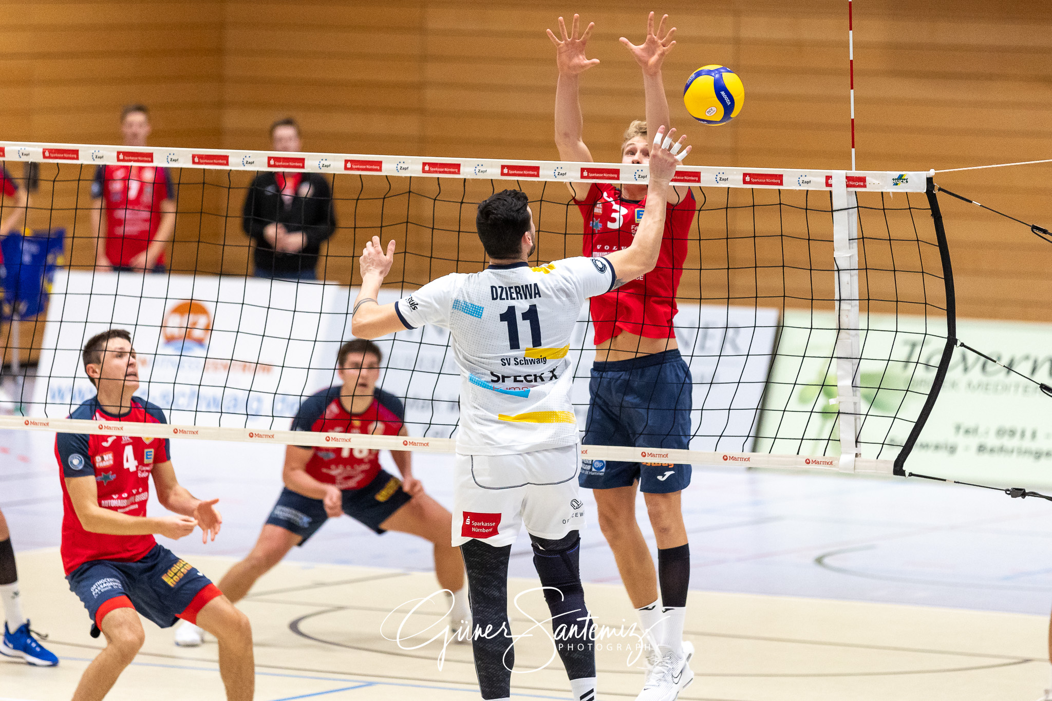 SV Schwaig - Baden Volleys SSC Karlsruhe - Volleyball - 2. Bunde