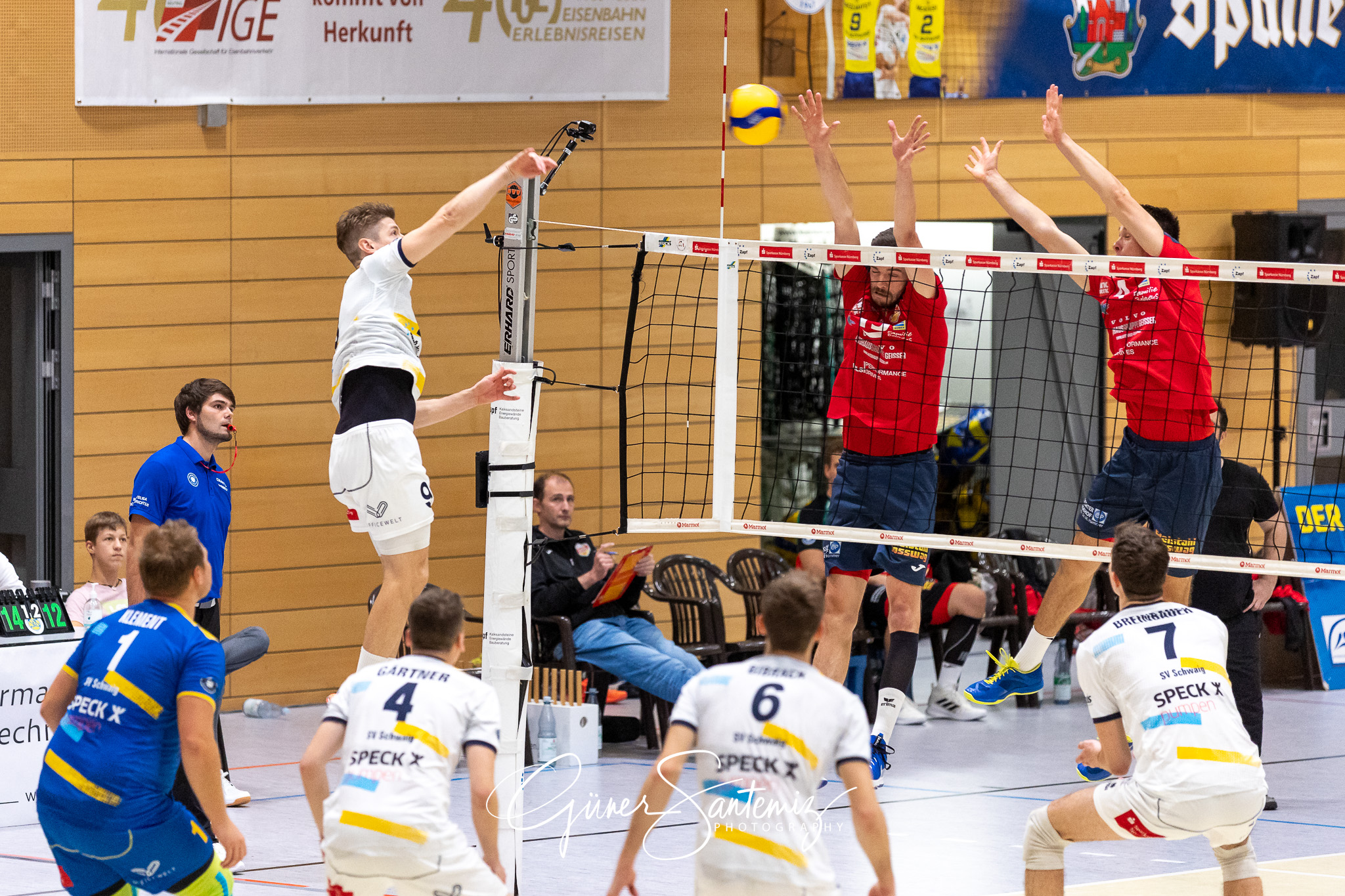 SV Schwaig - Baden Volleys SSC Karlsruhe - Volleyball - 2. Bunde