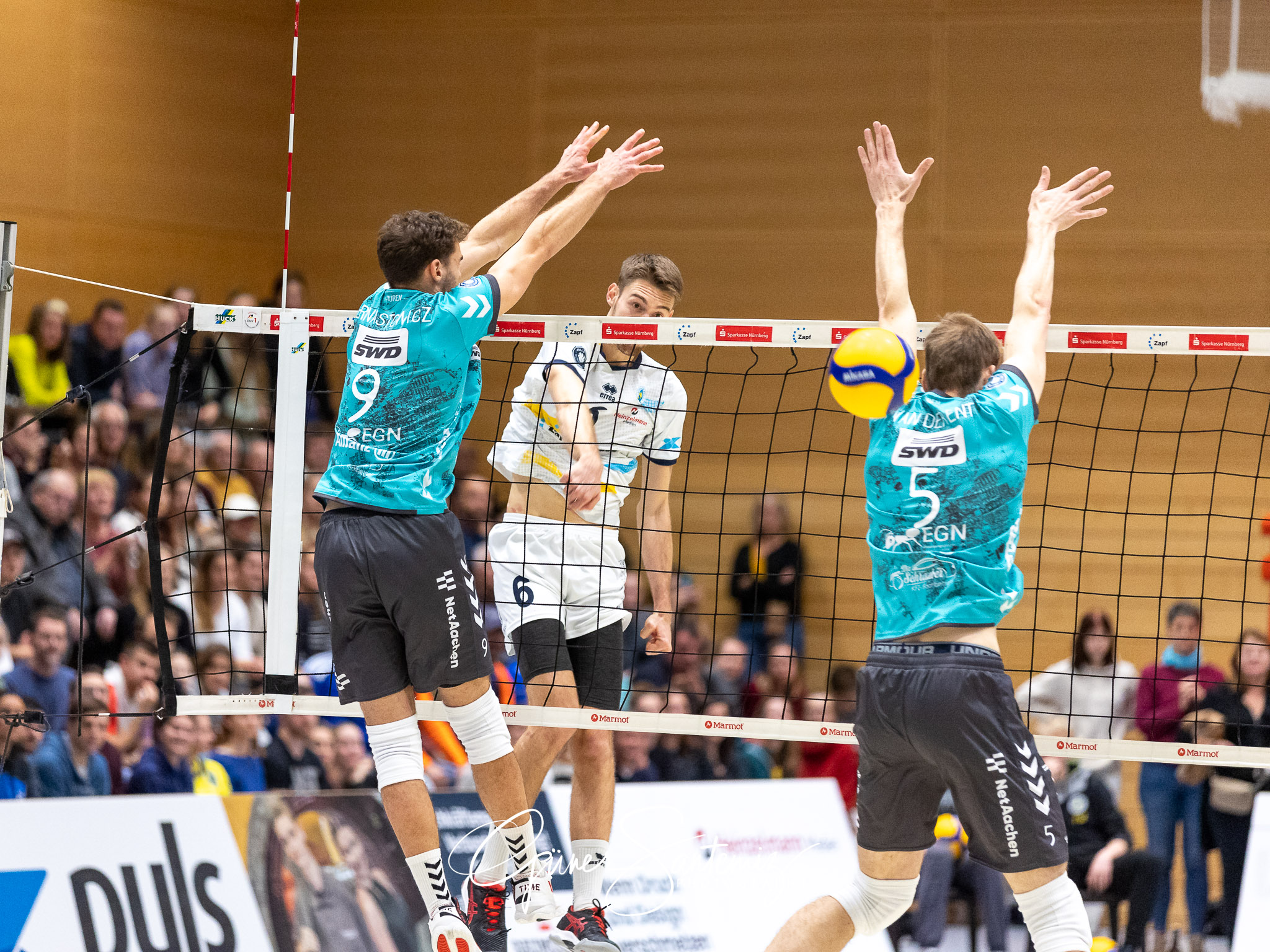 SV Schwaig vs. SWD powervolleys Dueren - Volleyball - DVV-Pokal