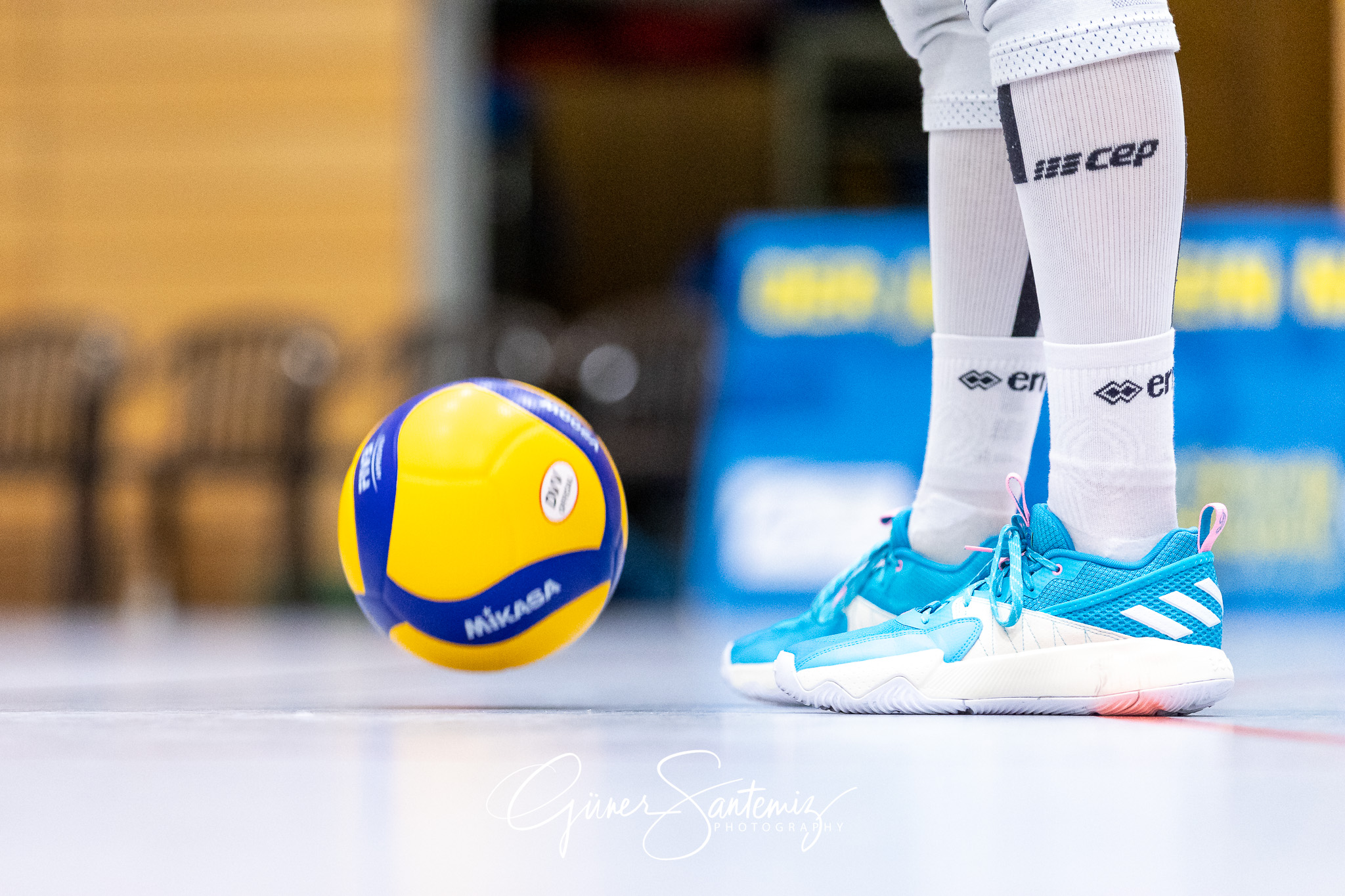 SV Schwaig - ASV Dachau - Volleyball - 2. Bundesliga Sued - 8. S