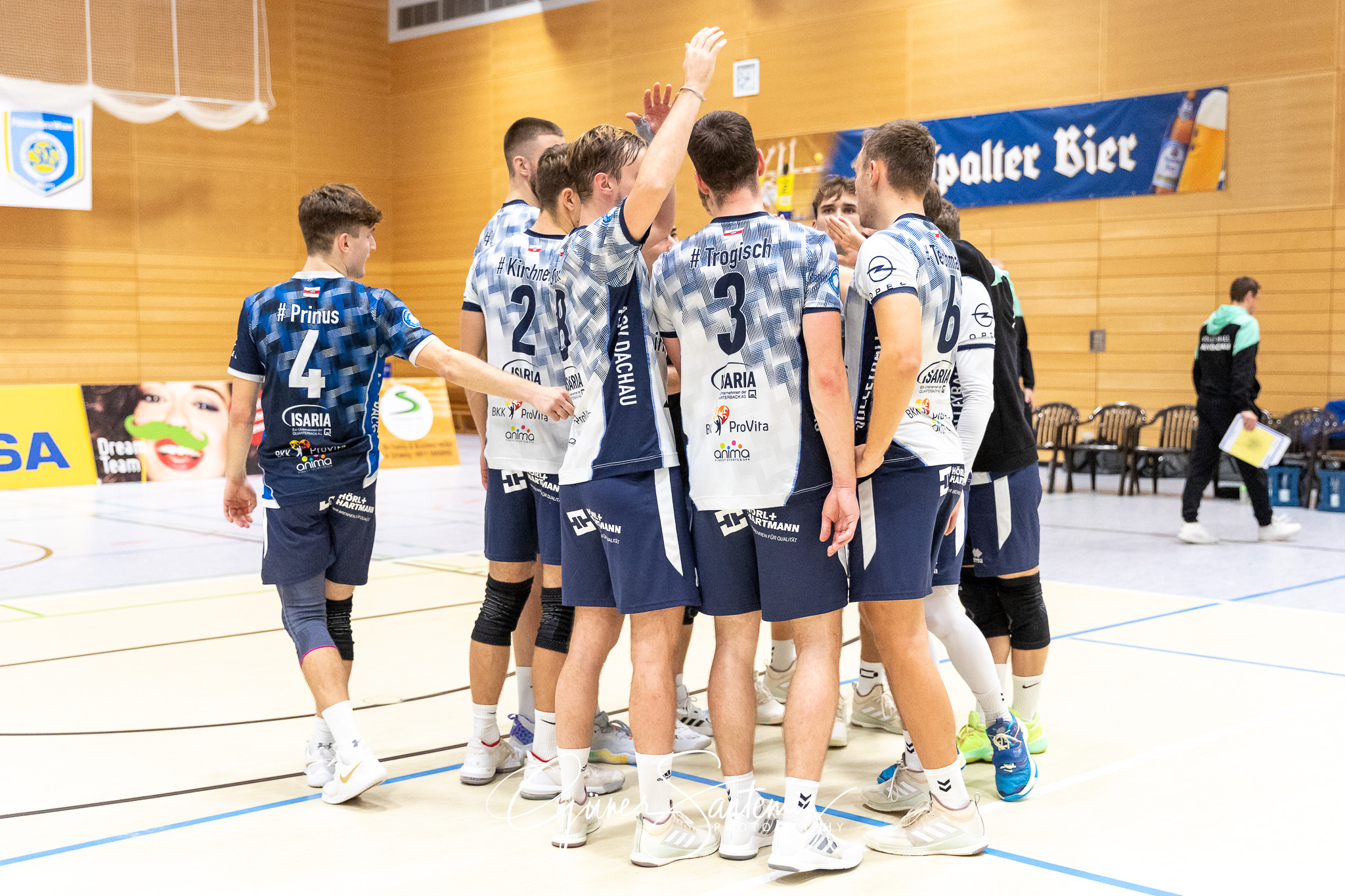 SV Schwaig - ASV Dachau - Volleyball - 2. Bundesliga Sued - 8. S
