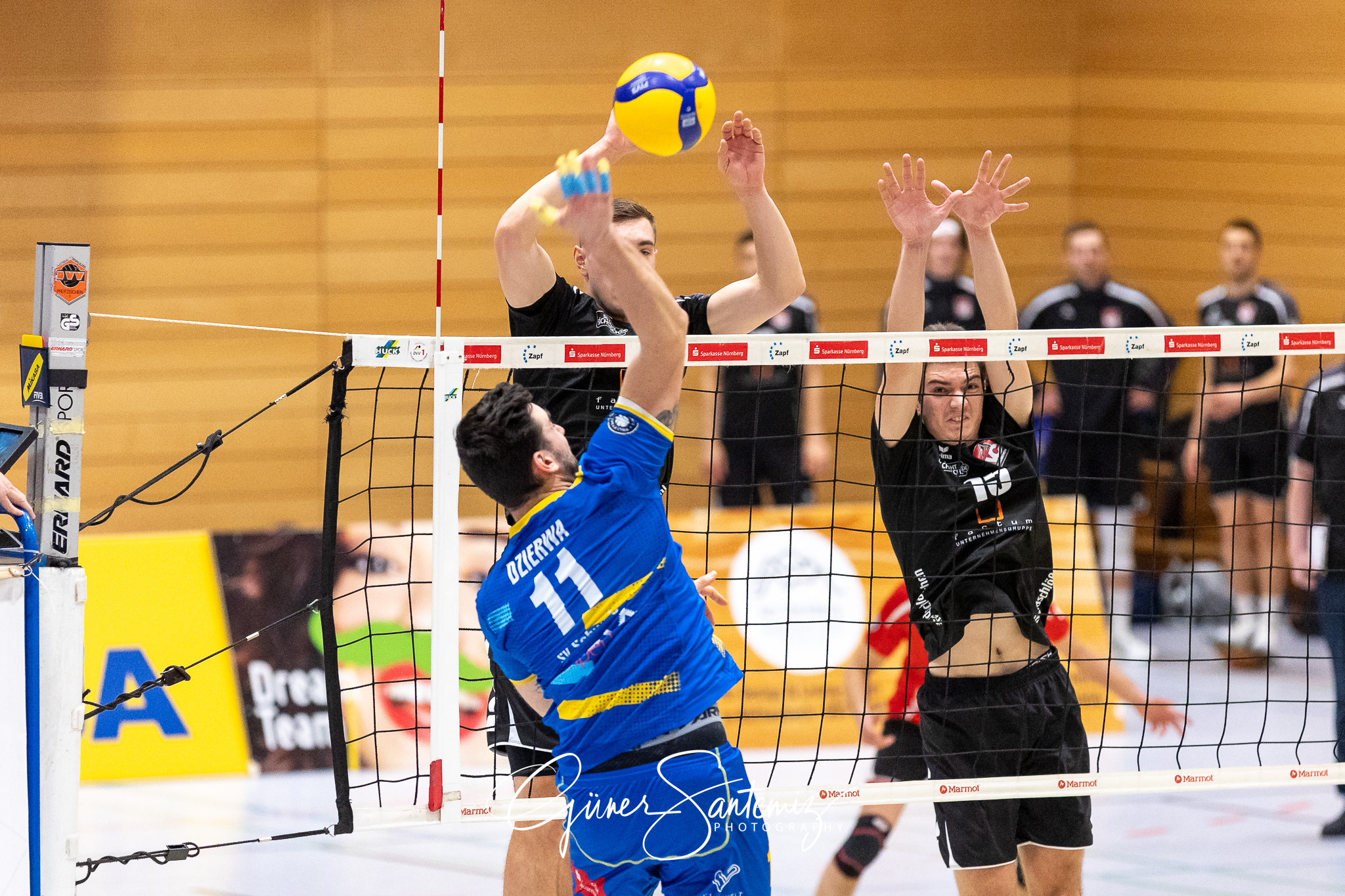 SV Schwaig vs. Dentalservice Gust VC Dresden - Volleyball - 2. B