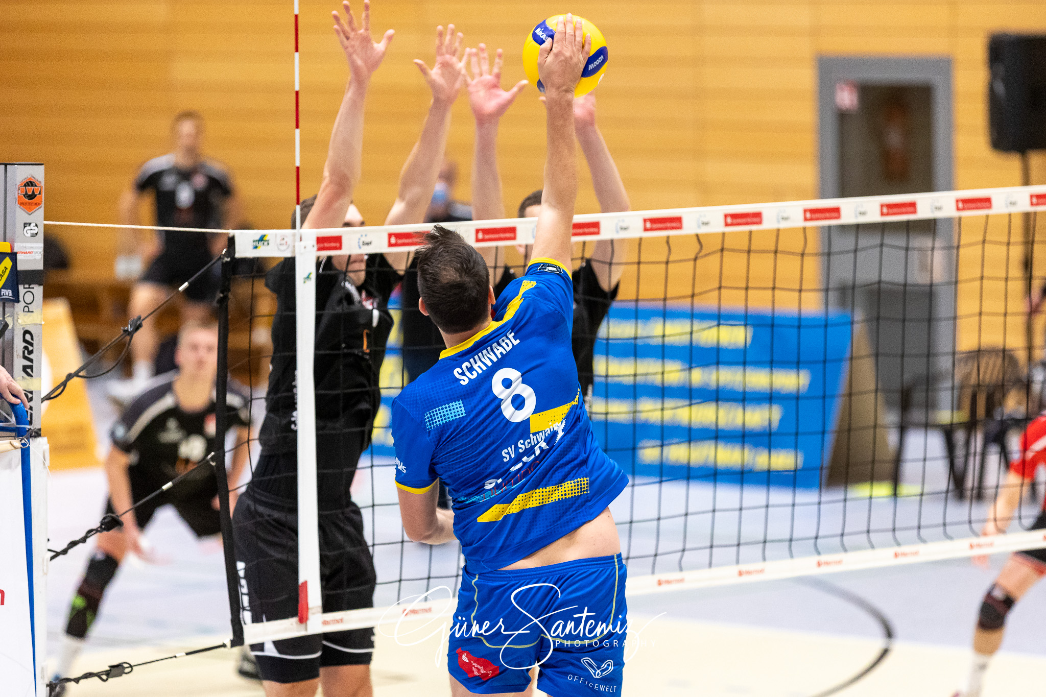 SV Schwaig vs. Dentalservice Gust VC Dresden - Volleyball - 2. B