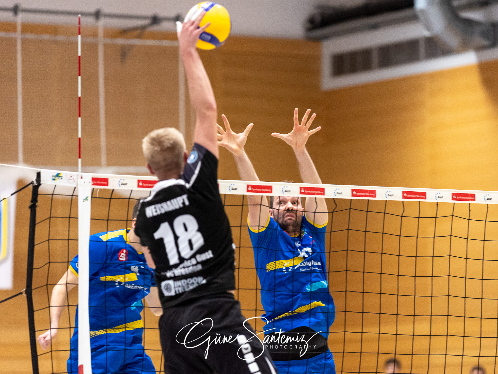SV Schwaig vs. Dentalservice Gust VC Dresden - Volleyball - 2. B