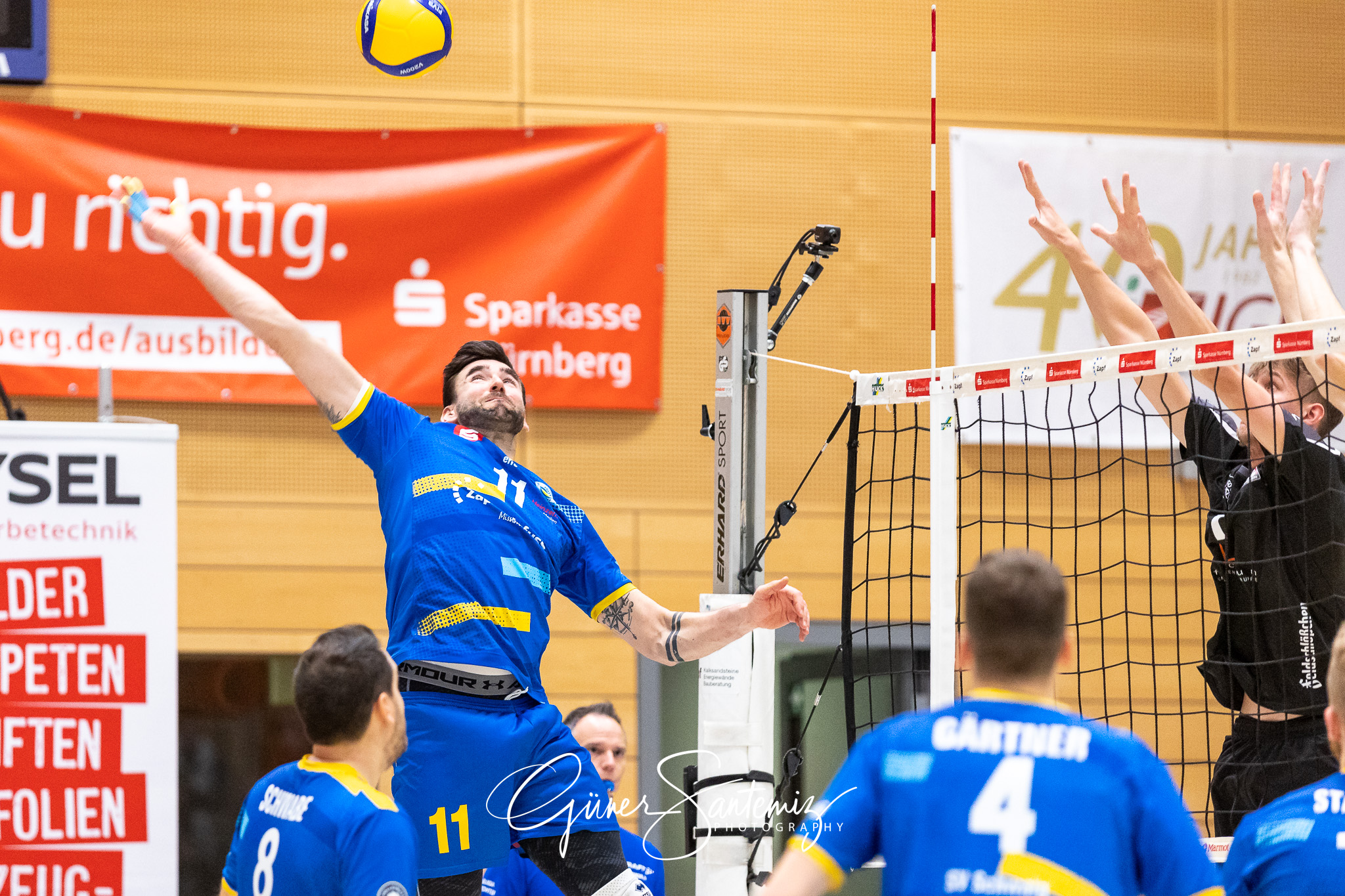 SV Schwaig vs. Dentalservice Gust VC Dresden - Volleyball - 2. B