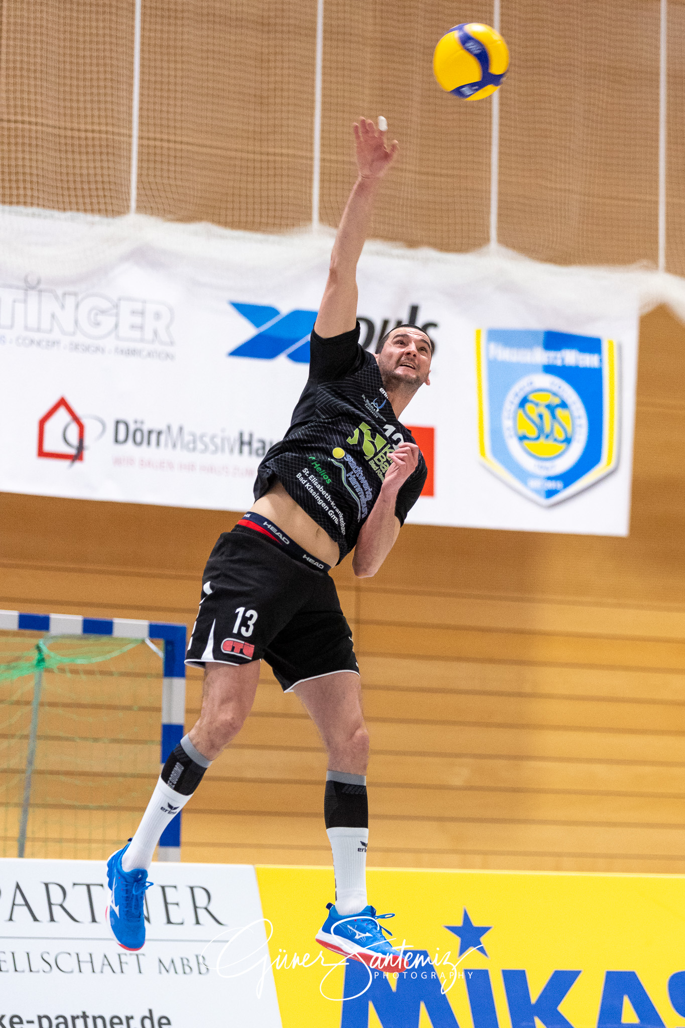 SV Schwaig vs. TV/DJK Hammelburg - Volleyball - 2. Bundesliga Su