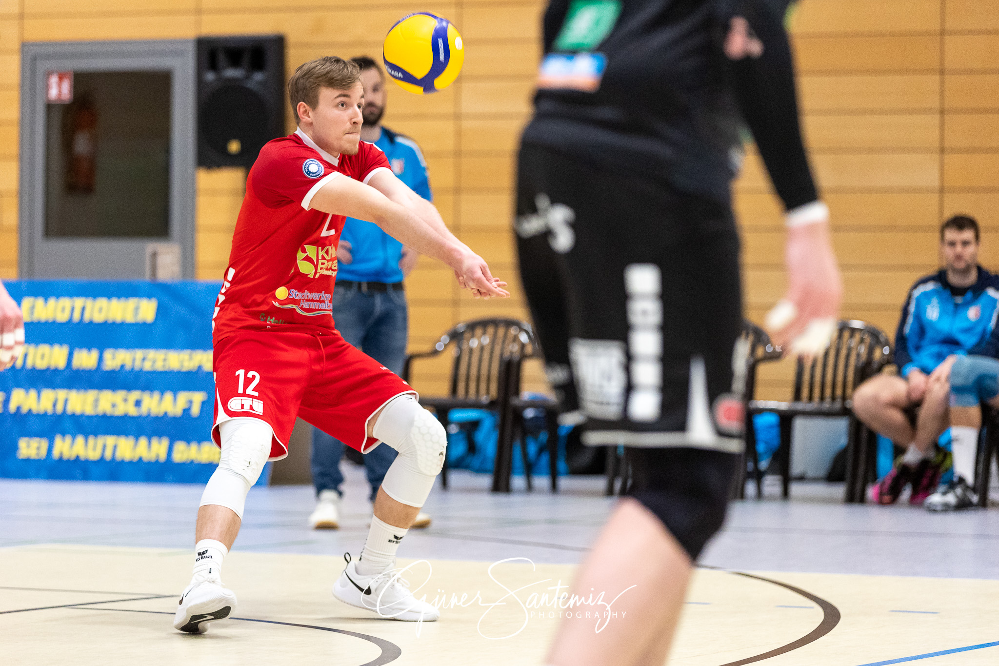 SV Schwaig vs. TV/DJK Hammelburg - Volleyball - 2. Bundesliga Su