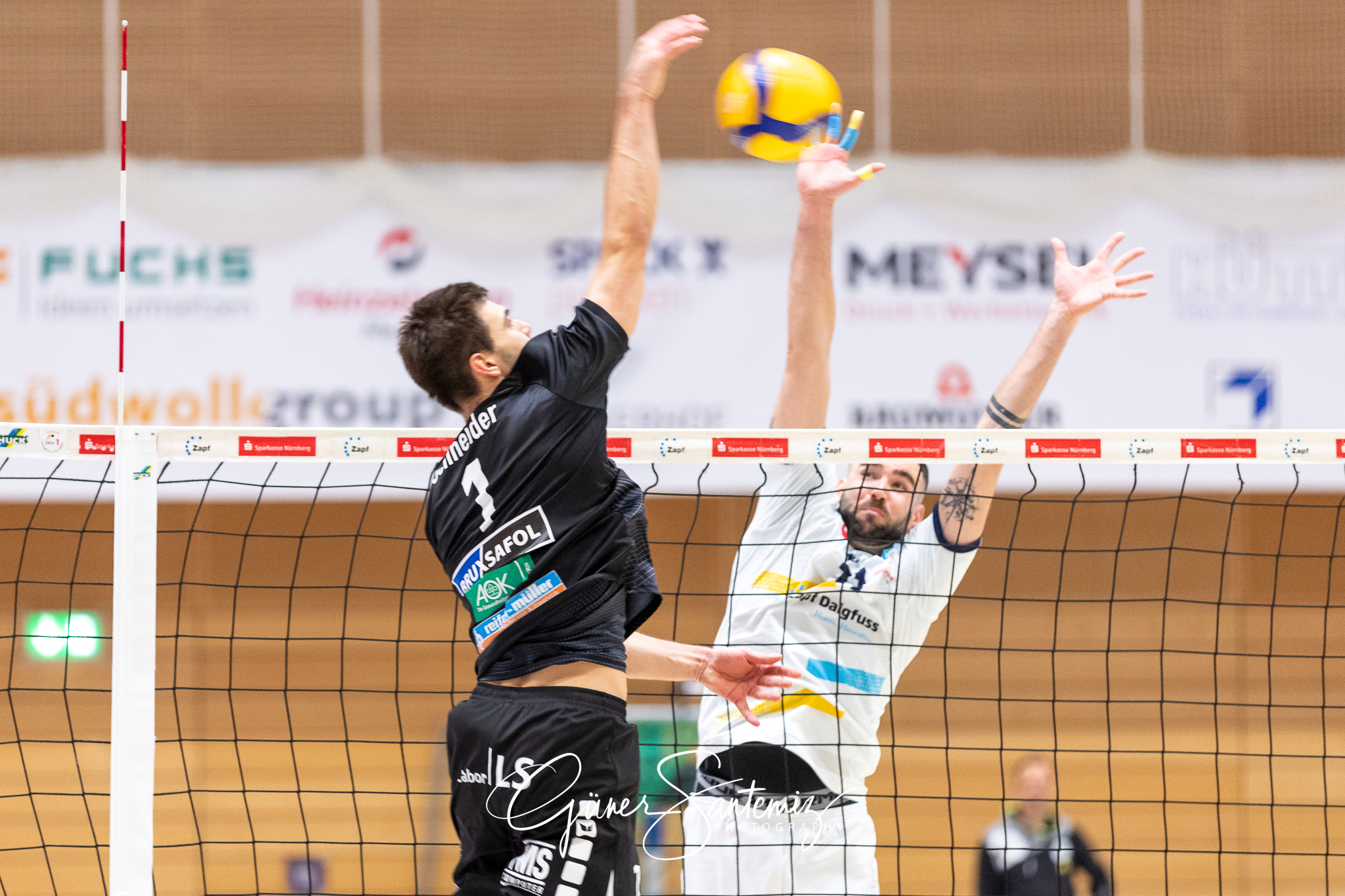 SV Schwaig vs. TV/DJK Hammelburg - Volleyball - 2. Bundesliga Su