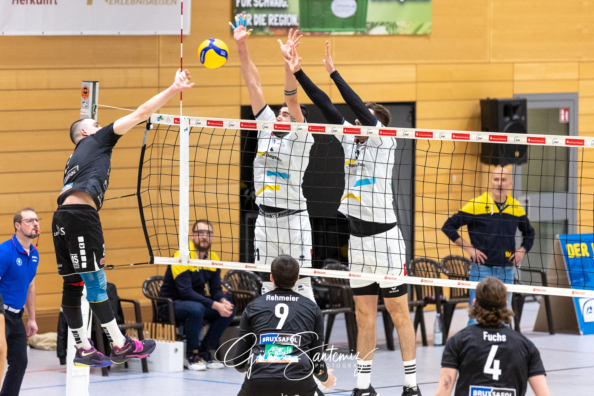 SV Schwaig vs. TV/DJK Hammelburg - Volleyball - 2. Bundesliga Su