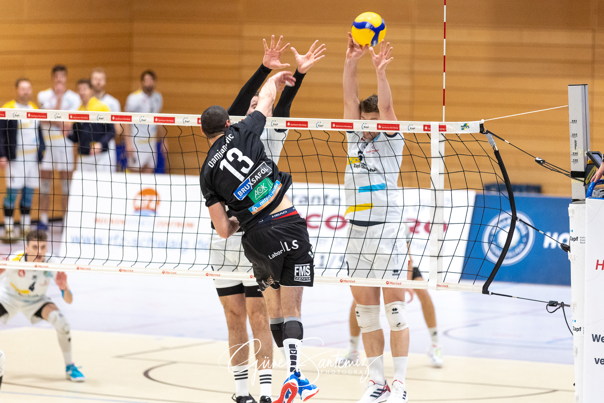 SV Schwaig vs. TV/DJK Hammelburg - Volleyball - 2. Bundesliga Su