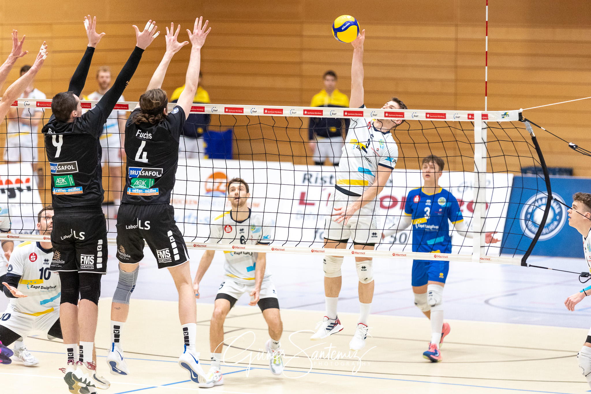 SV Schwaig vs. TV/DJK Hammelburg - Volleyball - 2. Bundesliga Su