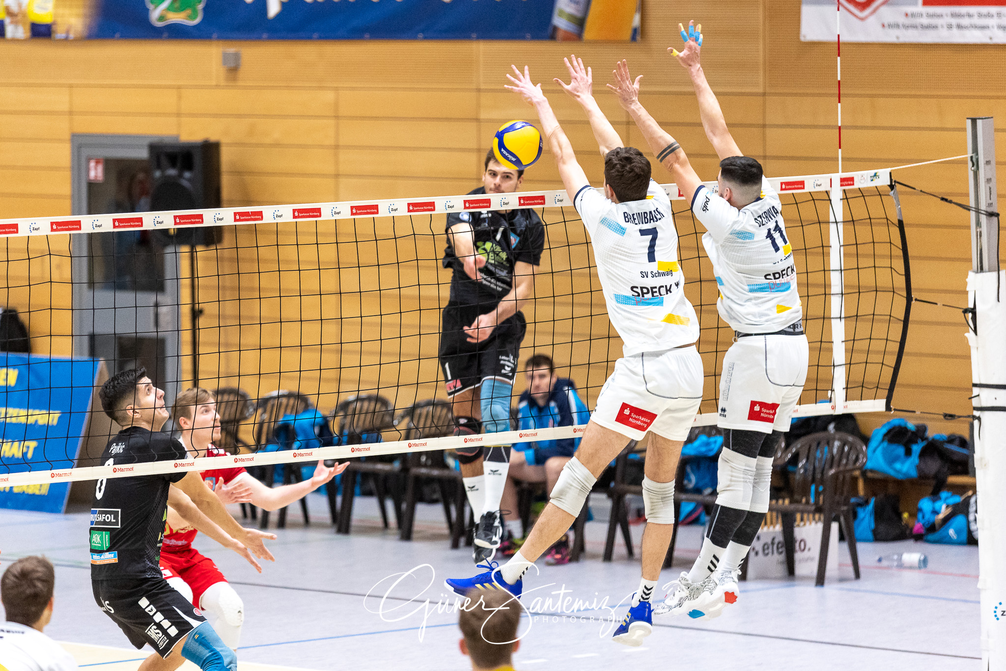 SV Schwaig vs. TV/DJK Hammelburg - Volleyball - 2. Bundesliga Su