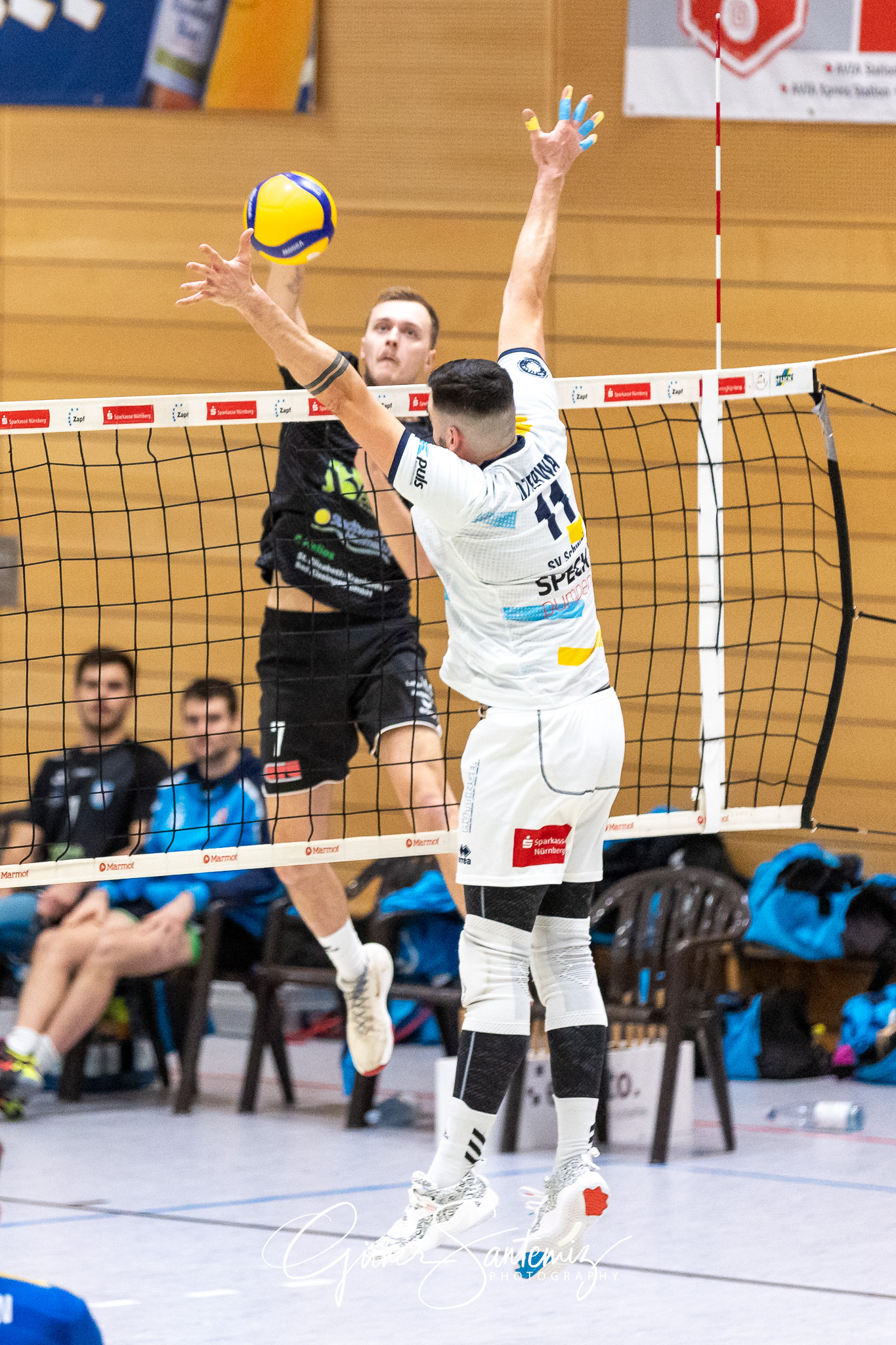 SV Schwaig vs. TV/DJK Hammelburg - Volleyball - 2. Bundesliga Su