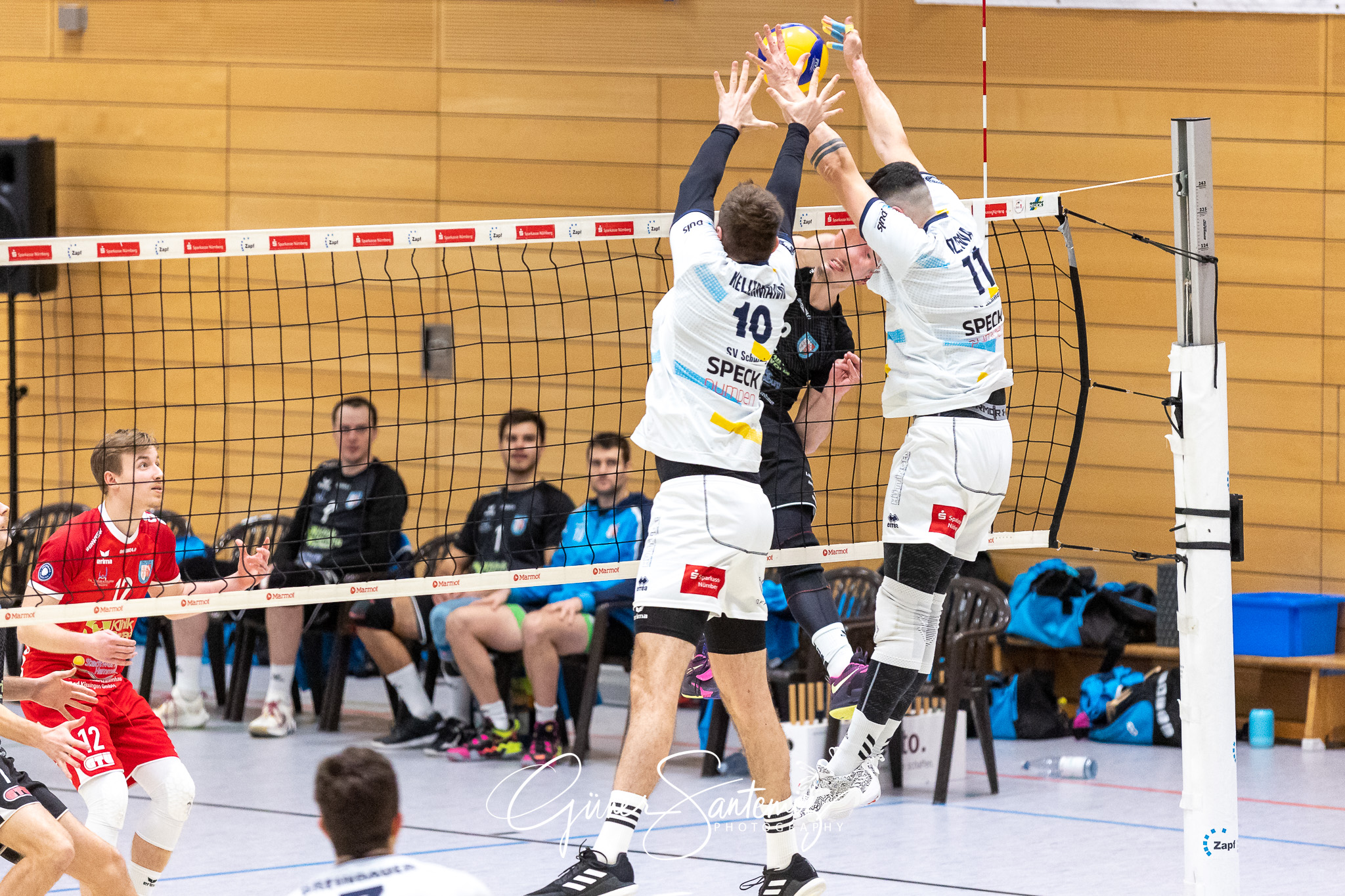 SV Schwaig vs. TV/DJK Hammelburg - Volleyball - 2. Bundesliga Su