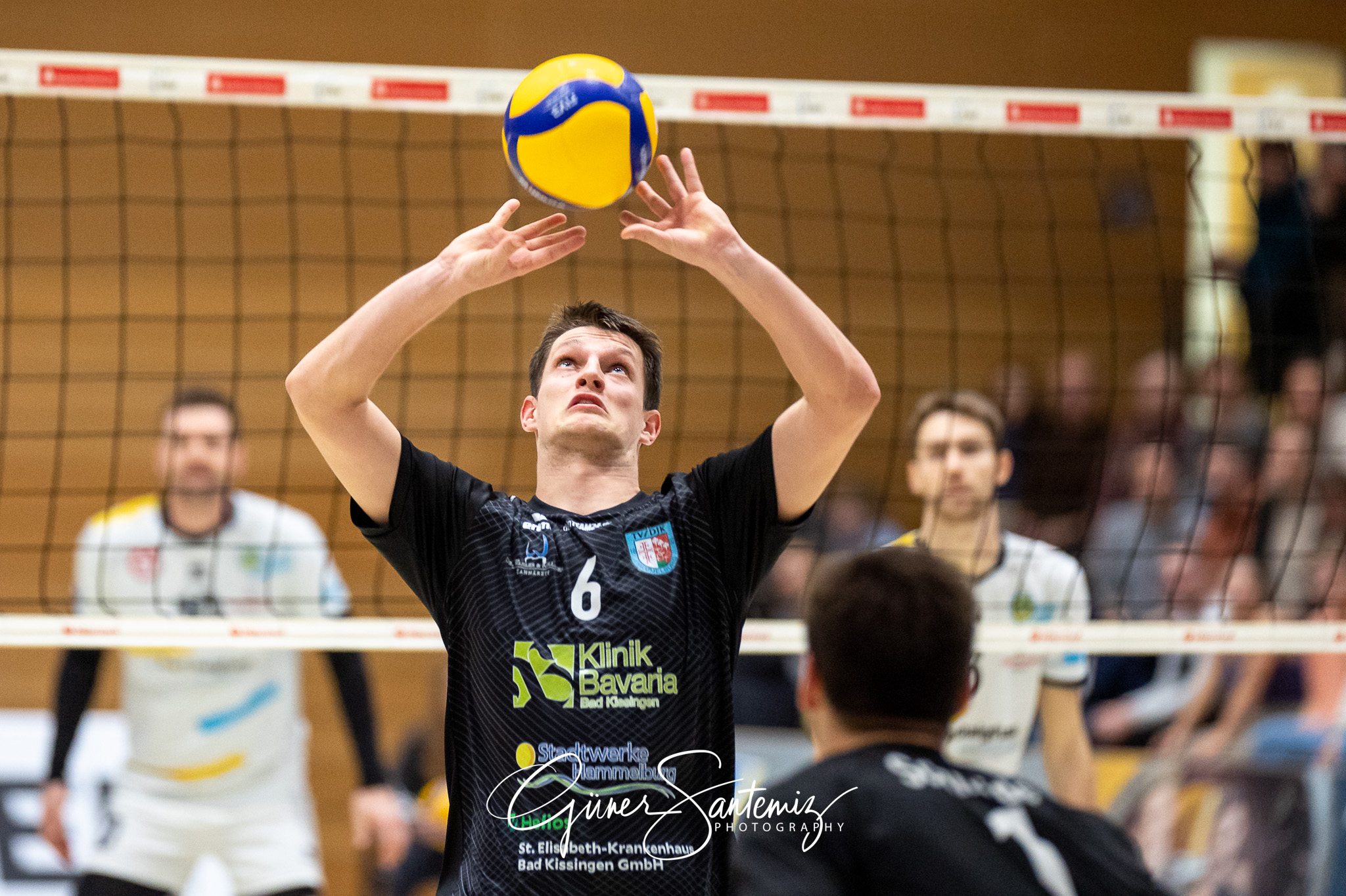 SV Schwaig vs. TV/DJK Hammelburg - Volleyball - 2. Bundesliga Su