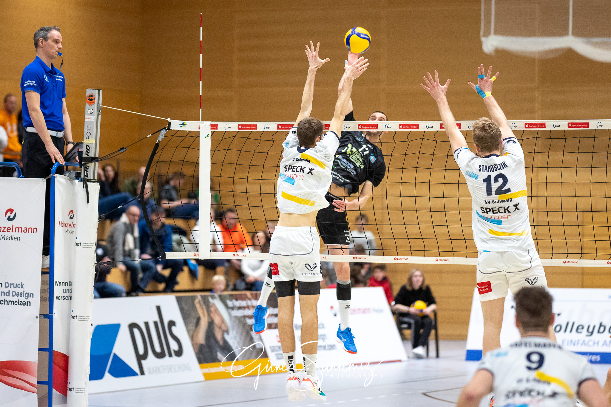 SV Schwaig vs. TV/DJK Hammelburg - Volleyball - 2. Bundesliga Su