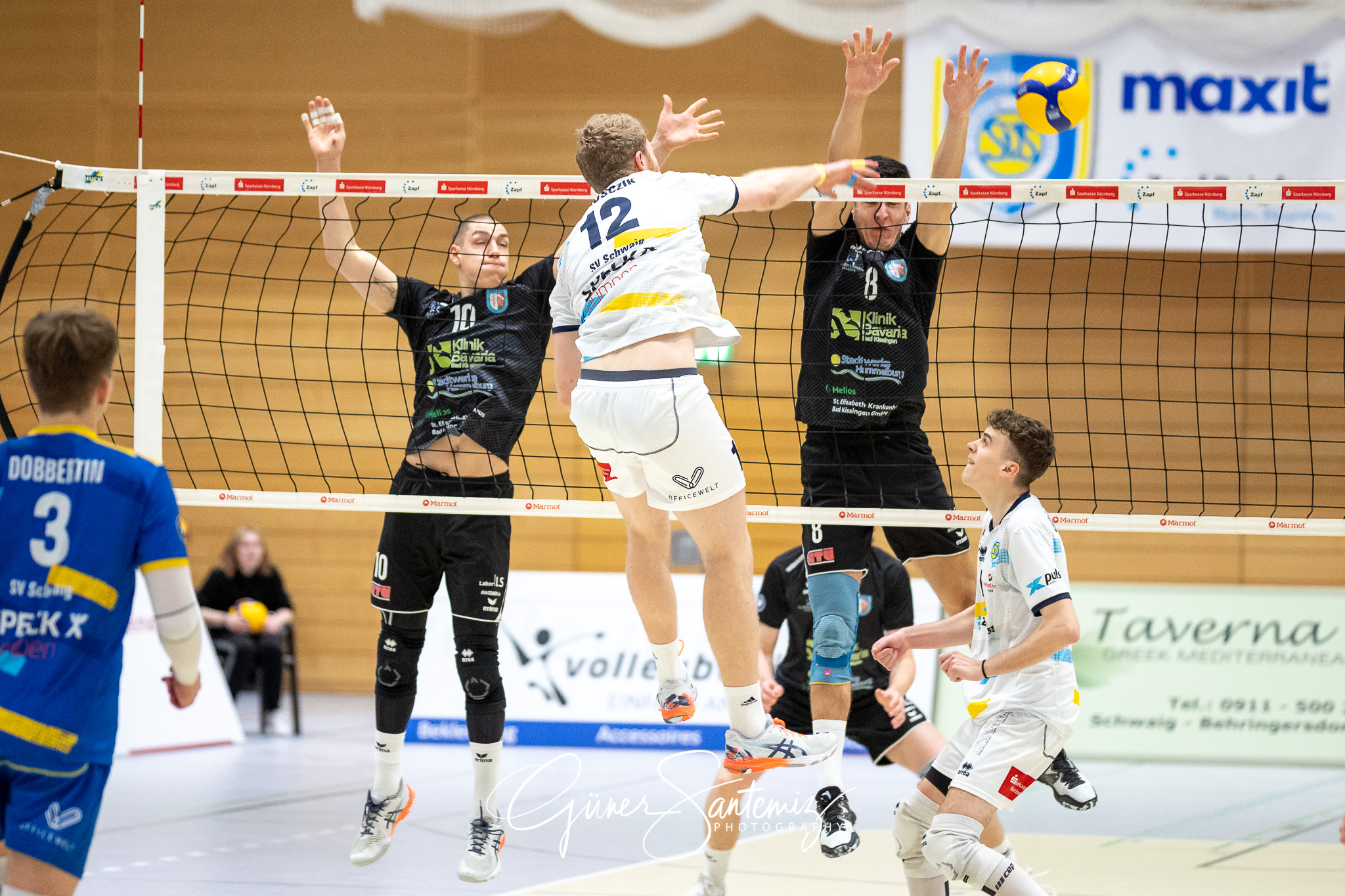 SV Schwaig vs. TV/DJK Hammelburg - Volleyball - 2. Bundesliga Su