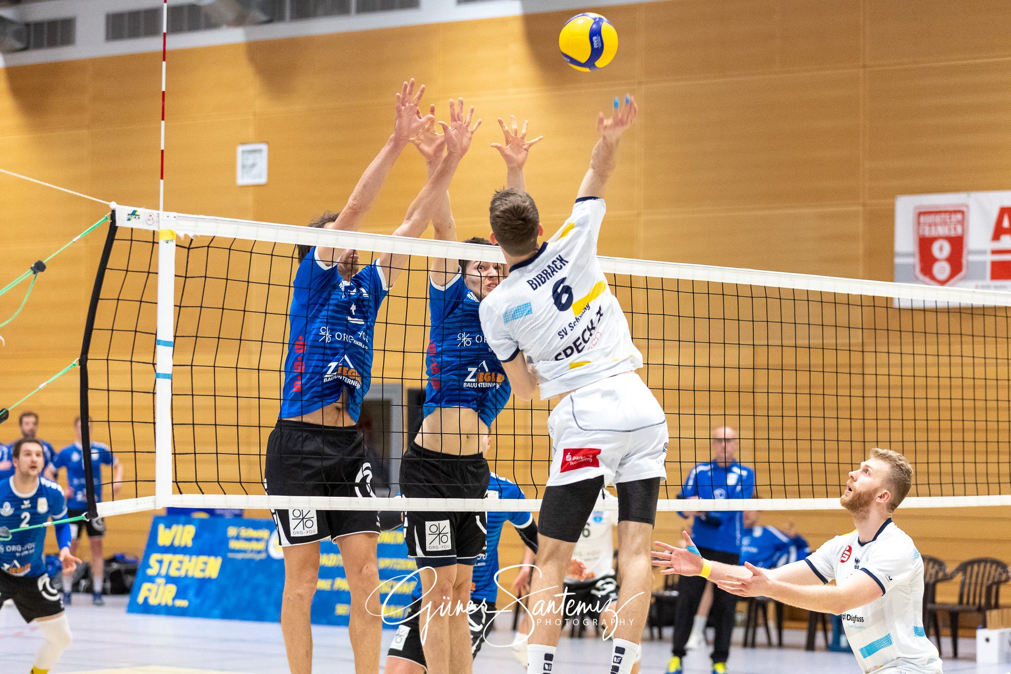 SV Schwaig vs. TSV Mimmenhausen - Volleyball - 2. Bundesliga Sue