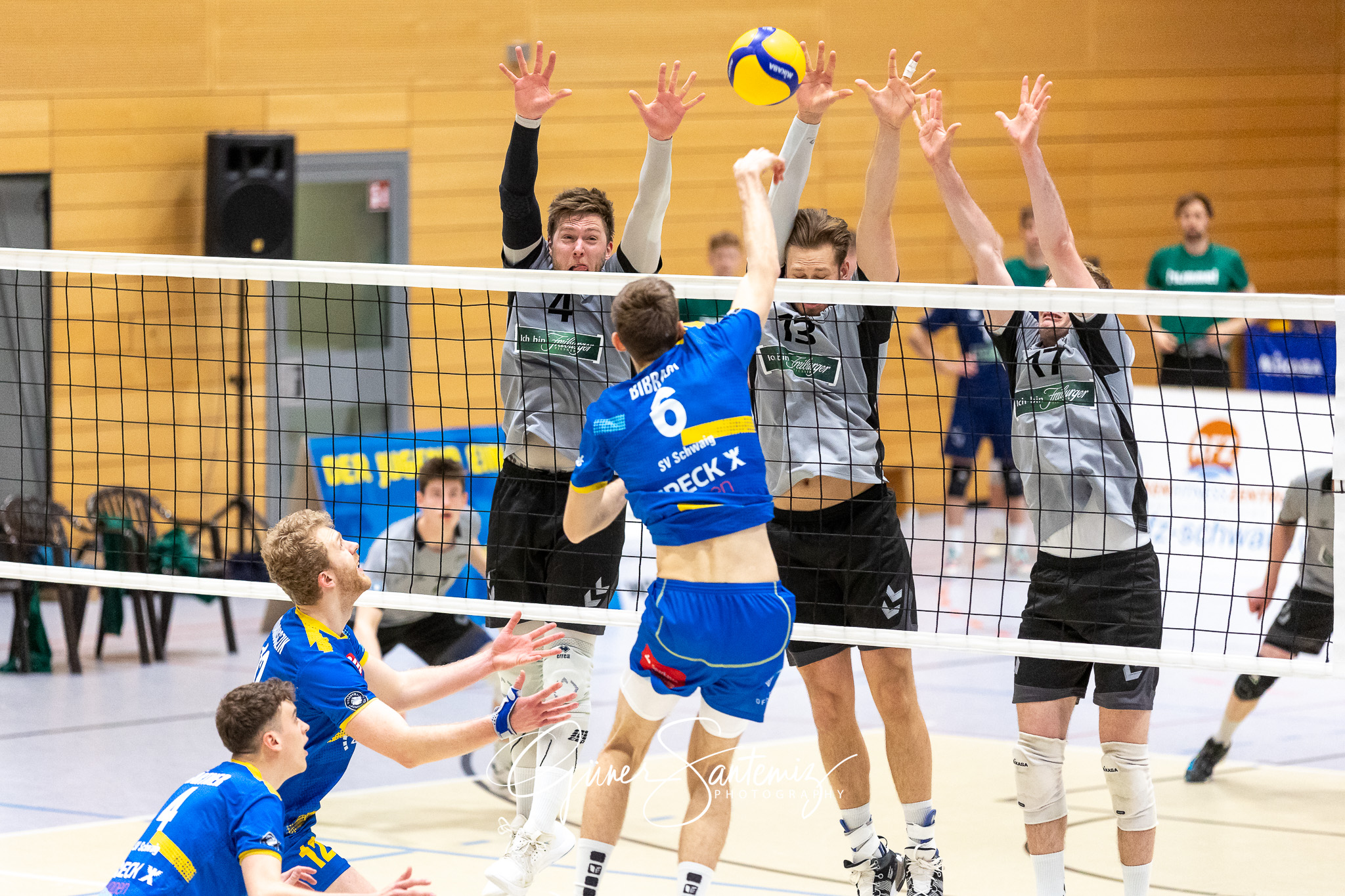 SV Schwaig vs. FT 1844 Freiburg - Volleyball - 2. Bundesliga Sue