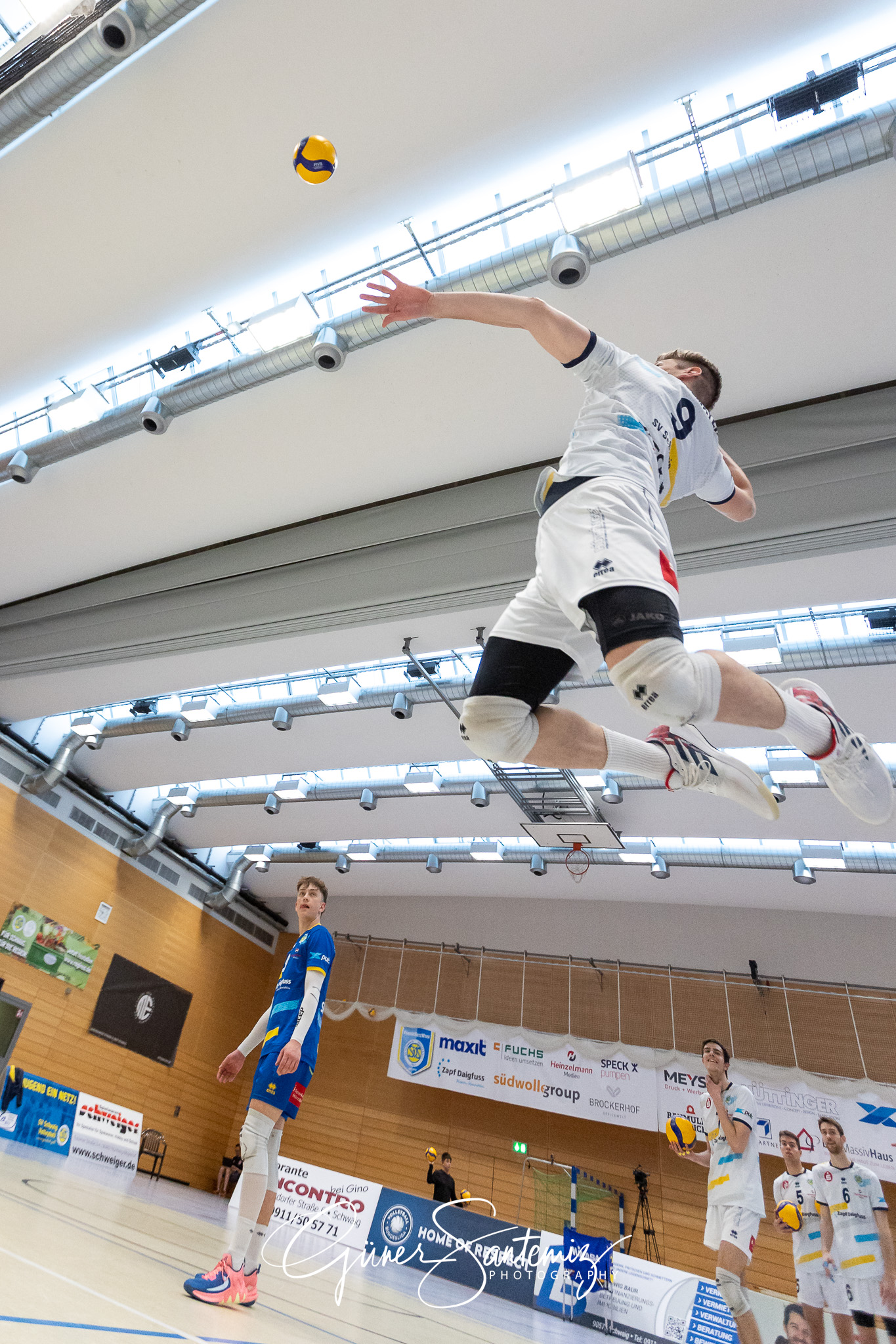 SV Schwaig vs. GSVE Delitzsch - Volleyball - 2. Bundesliga Sued