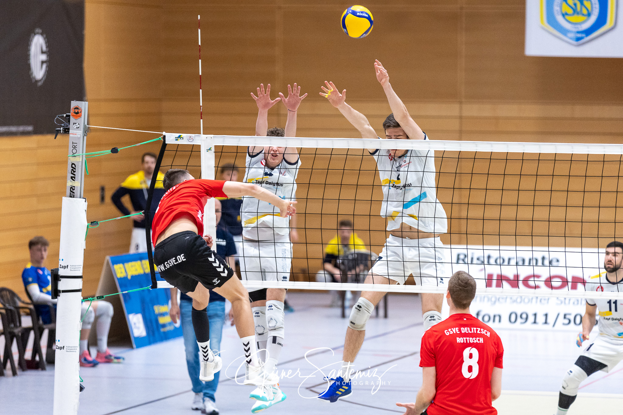 SV Schwaig vs. GSVE Delitzsch - Volleyball - 2. Bundesliga Sued