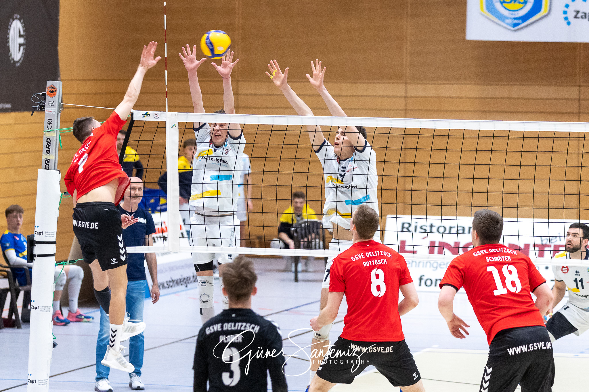 SV Schwaig vs. GSVE Delitzsch - Volleyball - 2. Bundesliga Sued