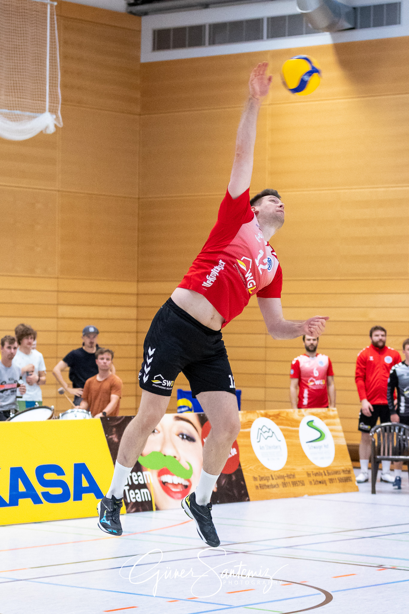 SV Schwaig vs. GSVE Delitzsch - Volleyball - 2. Bundesliga Sued