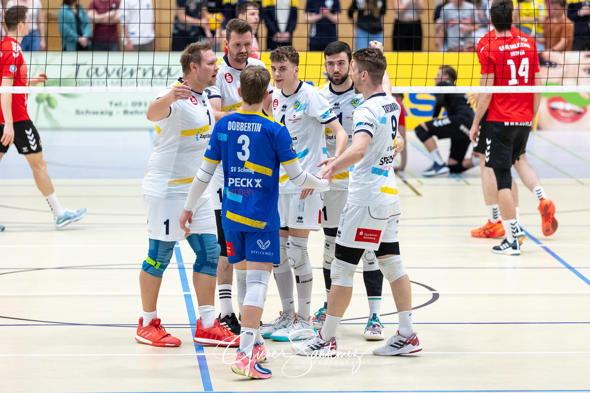 SV Schwaig vs. GSVE Delitzsch - Volleyball - 2. Bundesliga Sued