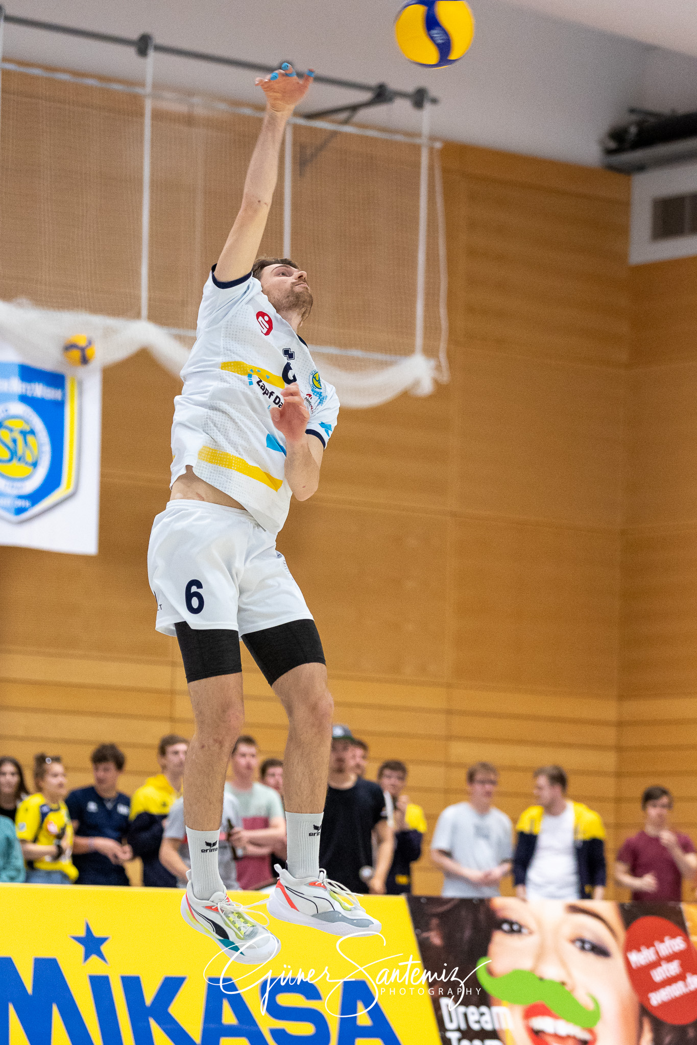 SV Schwaig vs. GSVE Delitzsch - Volleyball - 2. Bundesliga Sued