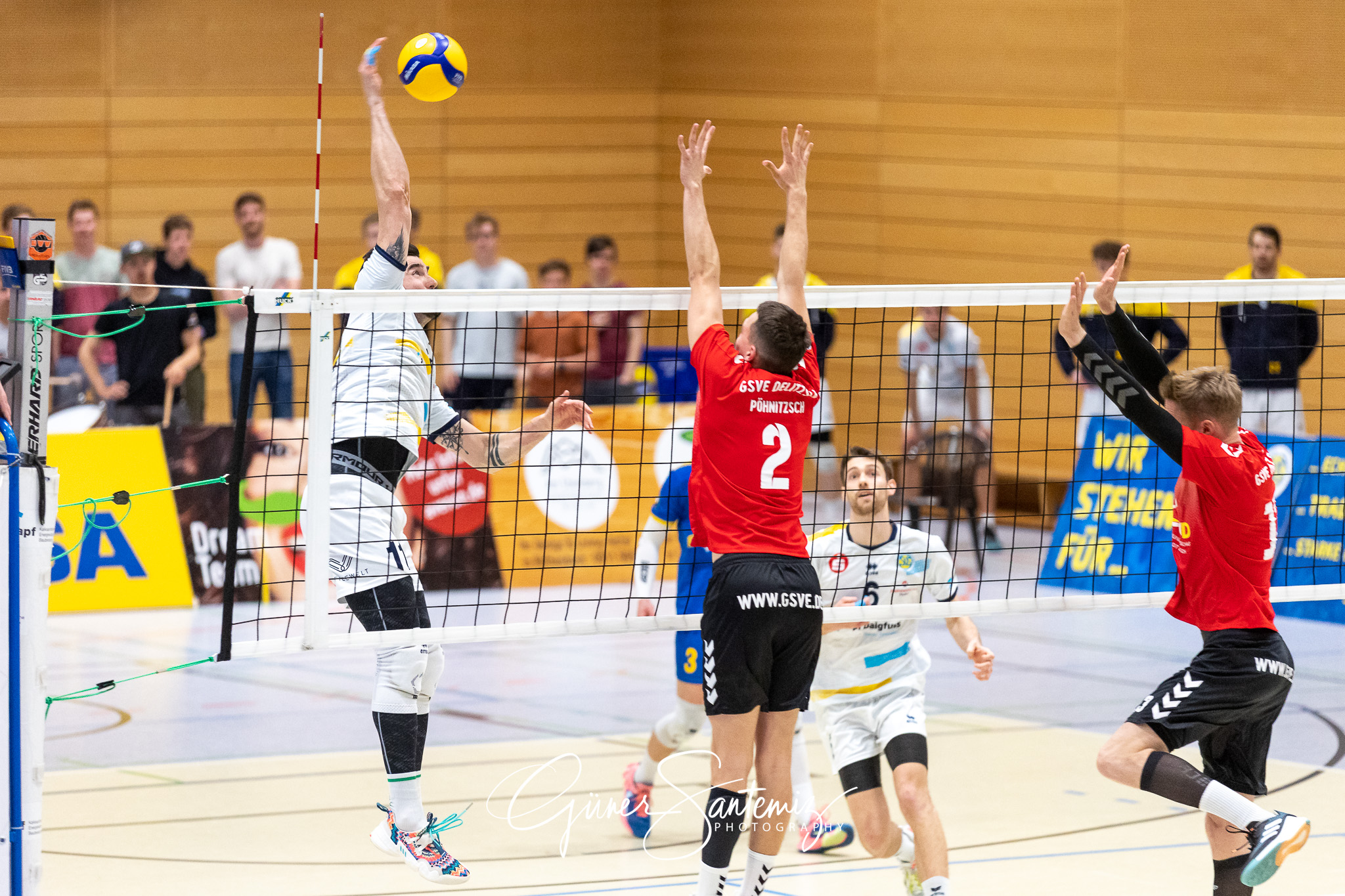 SV Schwaig vs. GSVE Delitzsch - Volleyball - 2. Bundesliga Sued