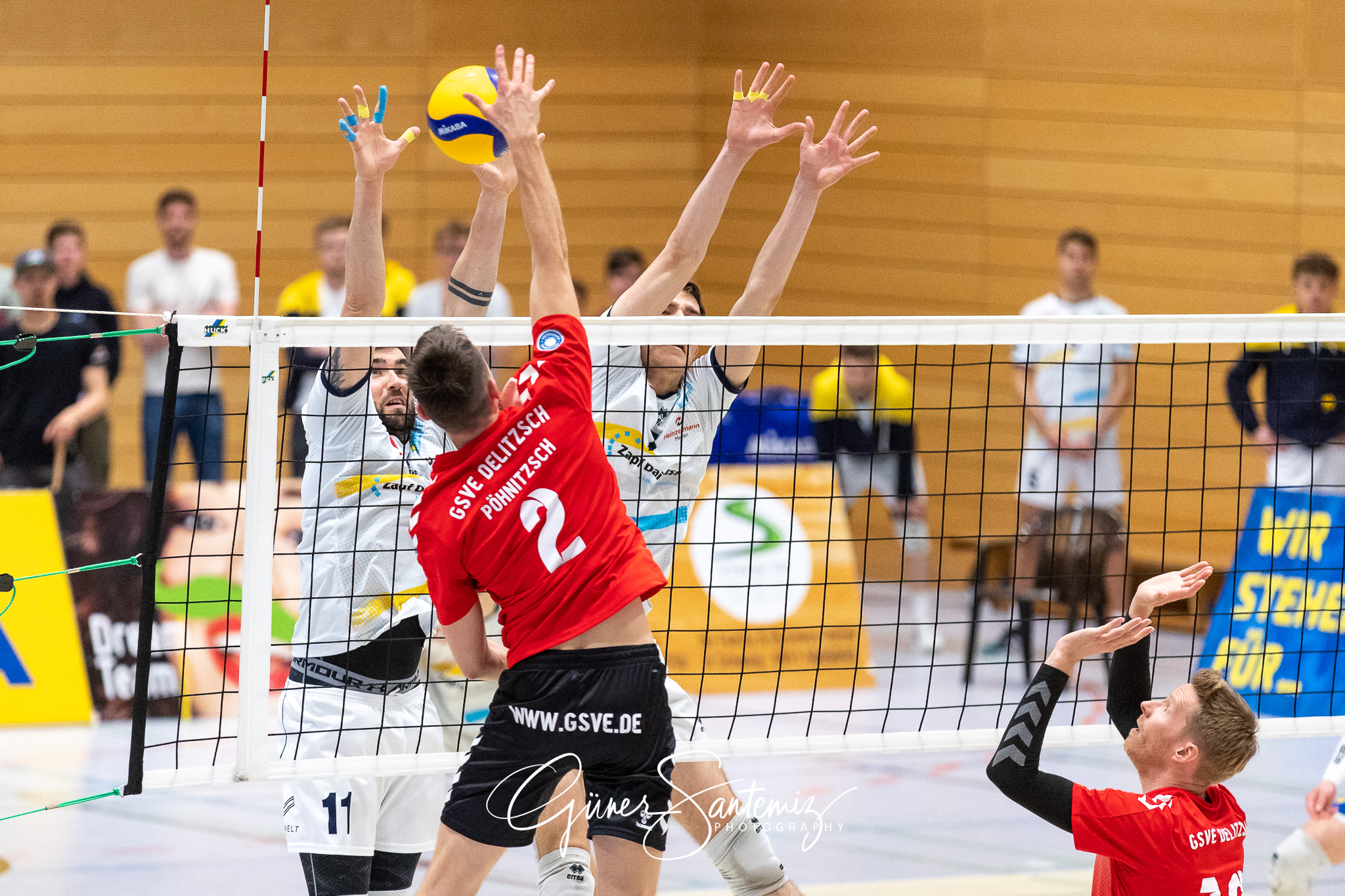 SV Schwaig vs. GSVE Delitzsch - Volleyball - 2. Bundesliga Sued