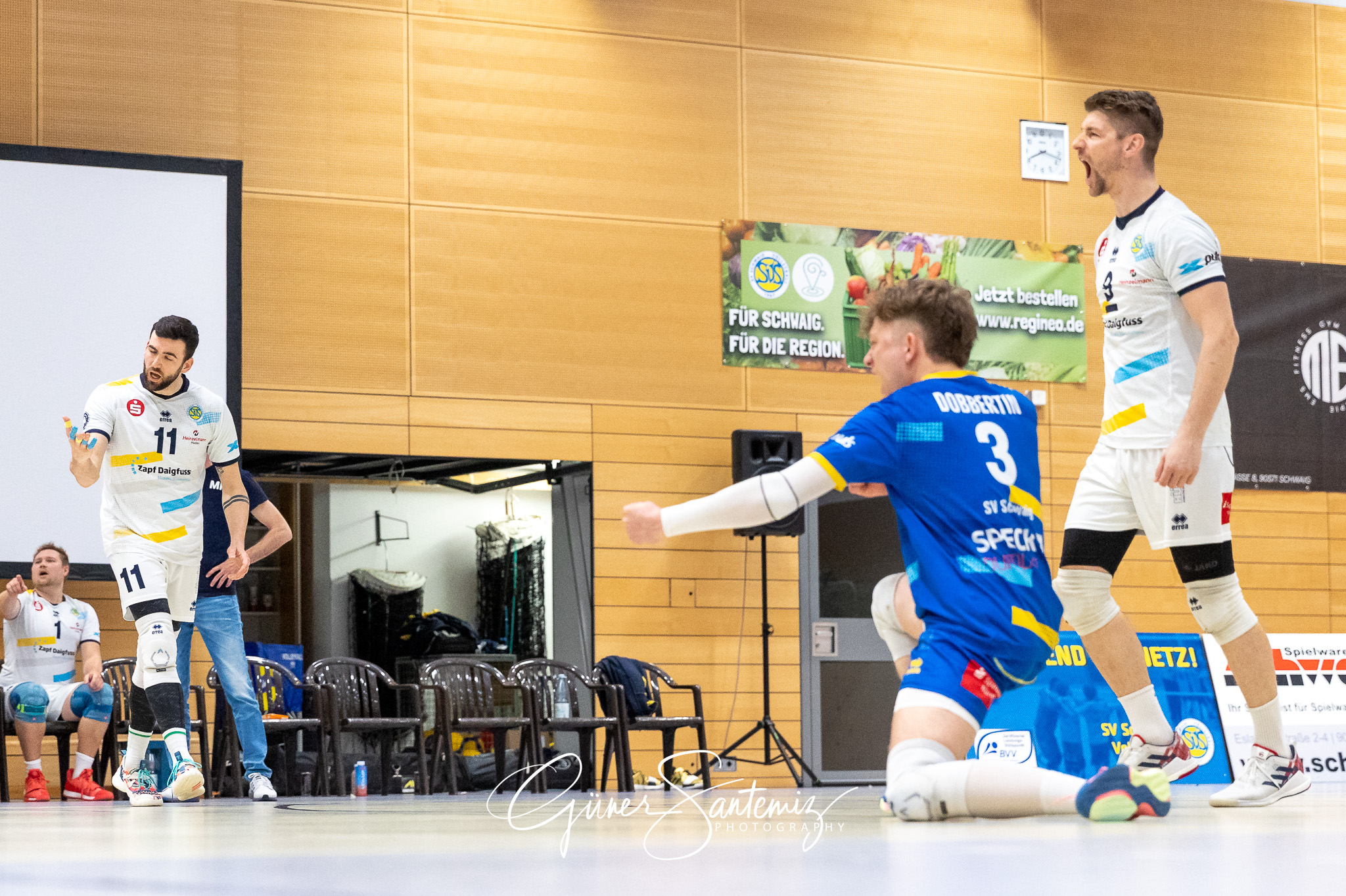 SV Schwaig vs. GSVE Delitzsch - Volleyball - 2. Bundesliga Sued