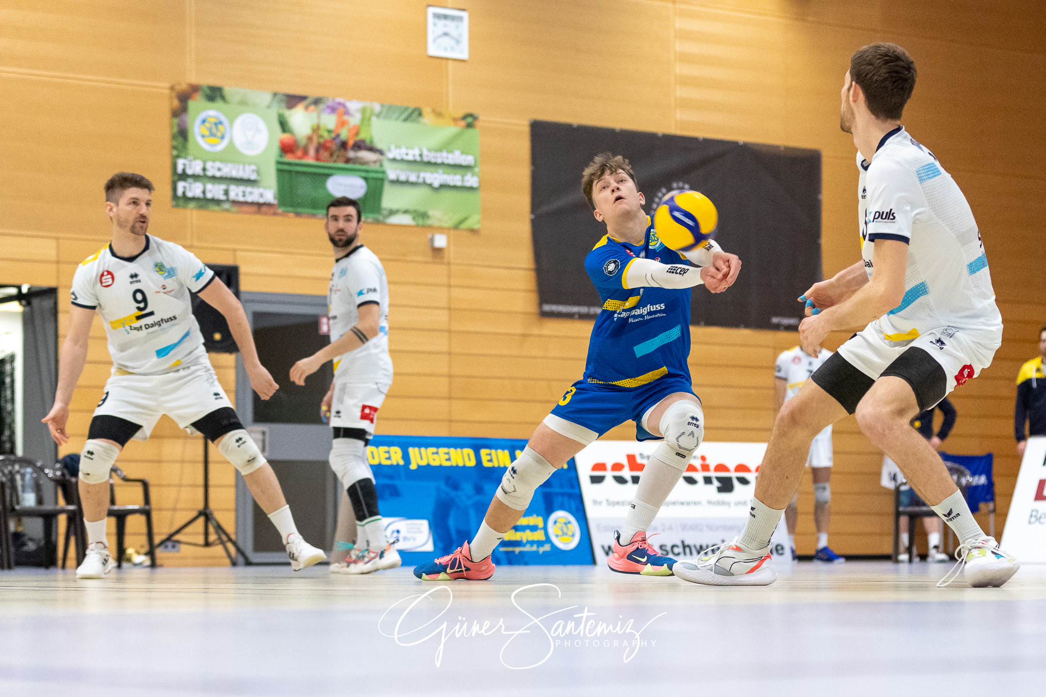 SV Schwaig vs. GSVE Delitzsch - Volleyball - 2. Bundesliga Sued