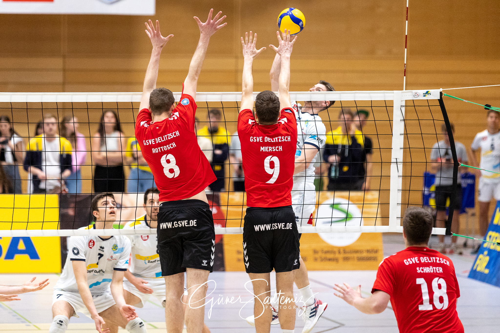 SV Schwaig vs. GSVE Delitzsch - Volleyball - 2. Bundesliga Sued