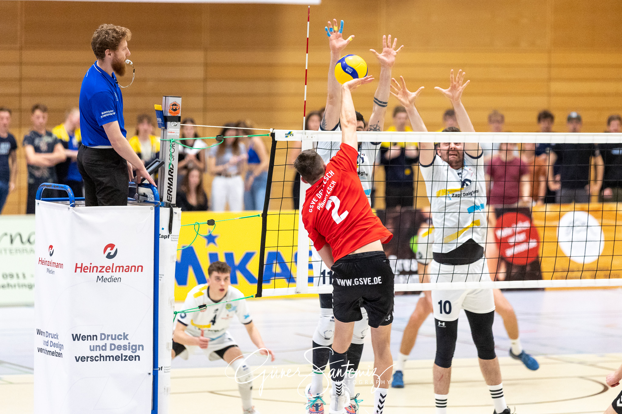 SV Schwaig vs. GSVE Delitzsch - Volleyball - 2. Bundesliga Sued
