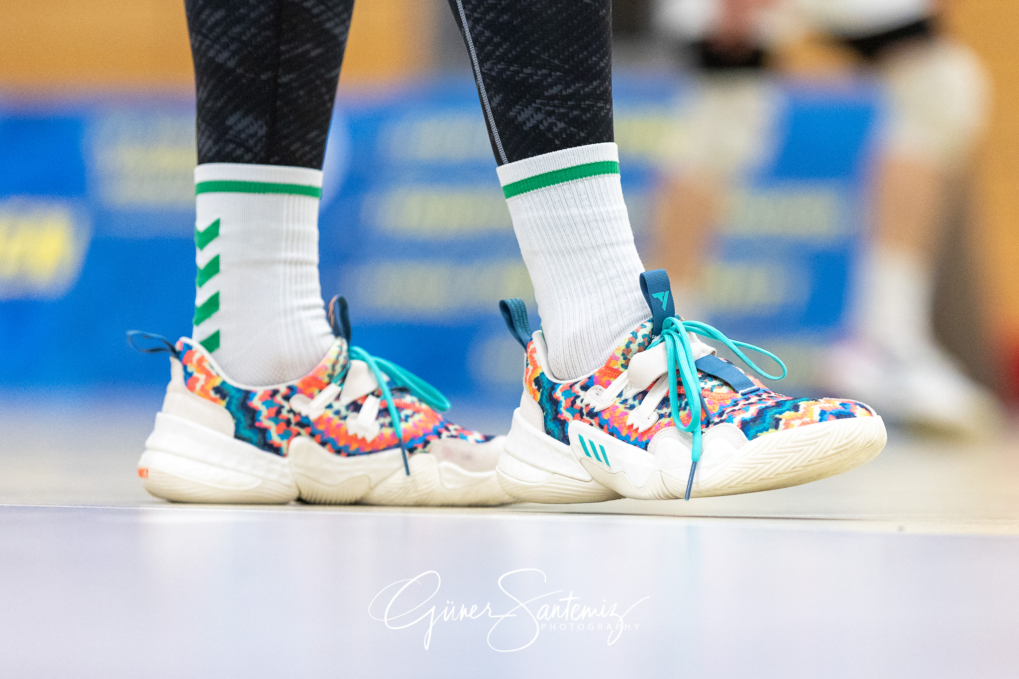 SV Schwaig vs. GSVE Delitzsch - Volleyball - 2. Bundesliga Sued