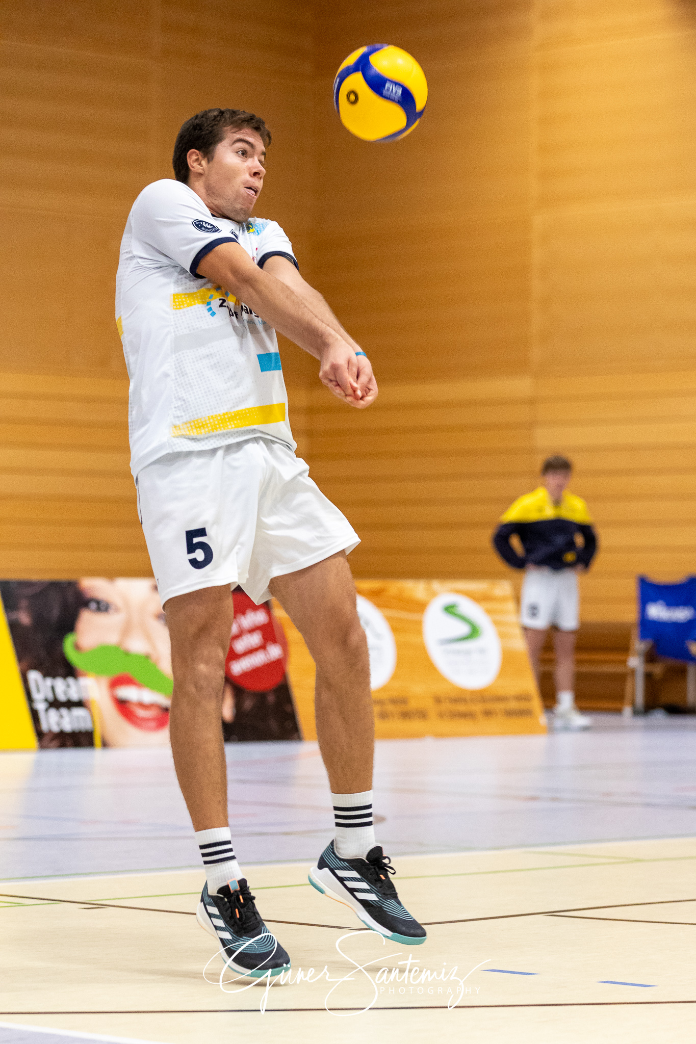 SV Schwaig Volleyball - TV Rottenburg - Volleyball - 2. Bundesli