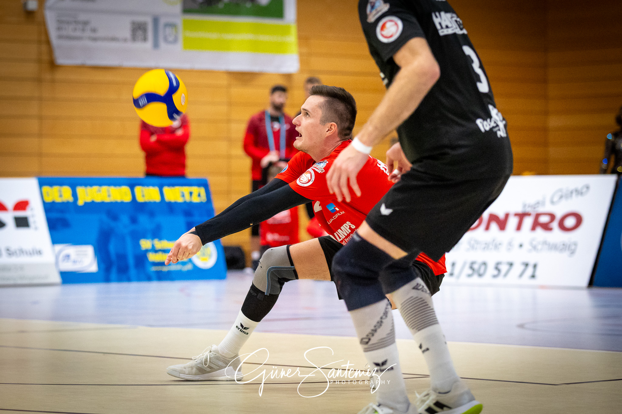 SV Schwaig Volleyball - VC Eltmann - Volleyball - 2. Bundesliga