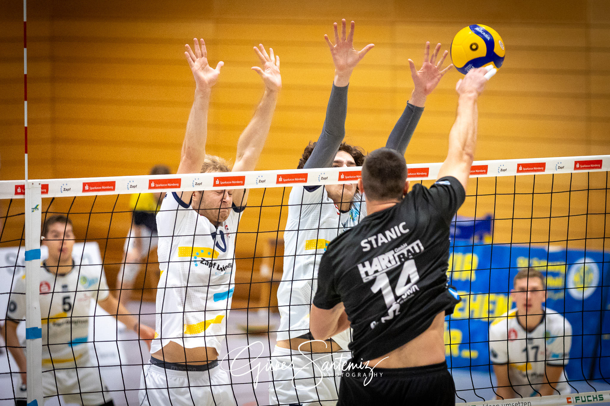 SV Schwaig Volleyball - VC Eltmann - Volleyball - 2. Bundesliga