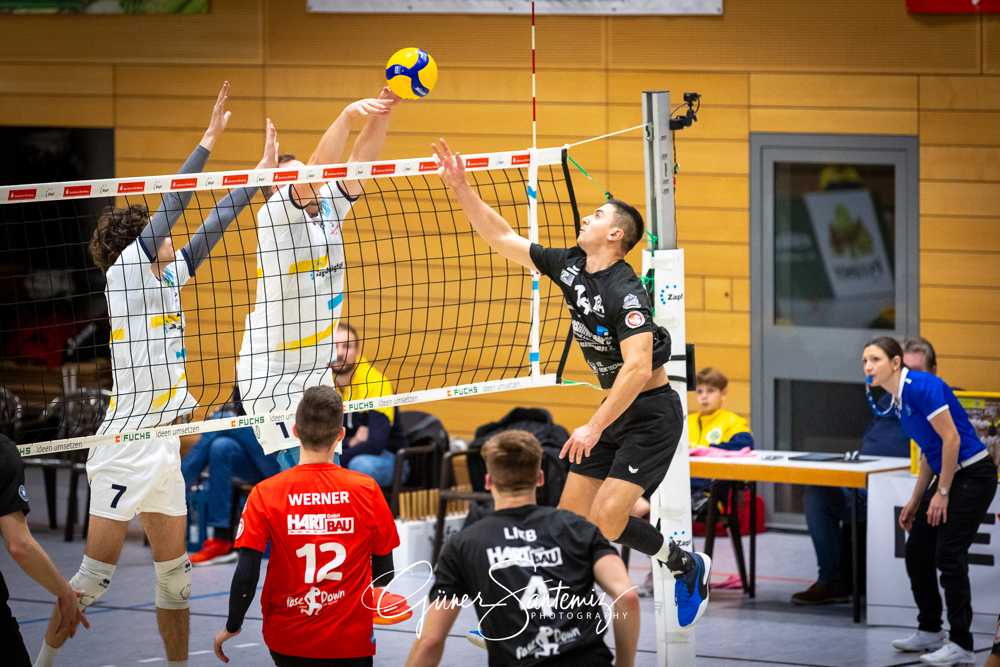 SV Schwaig Volleyball - VC Eltmann - Volleyball - 2. Bundesliga