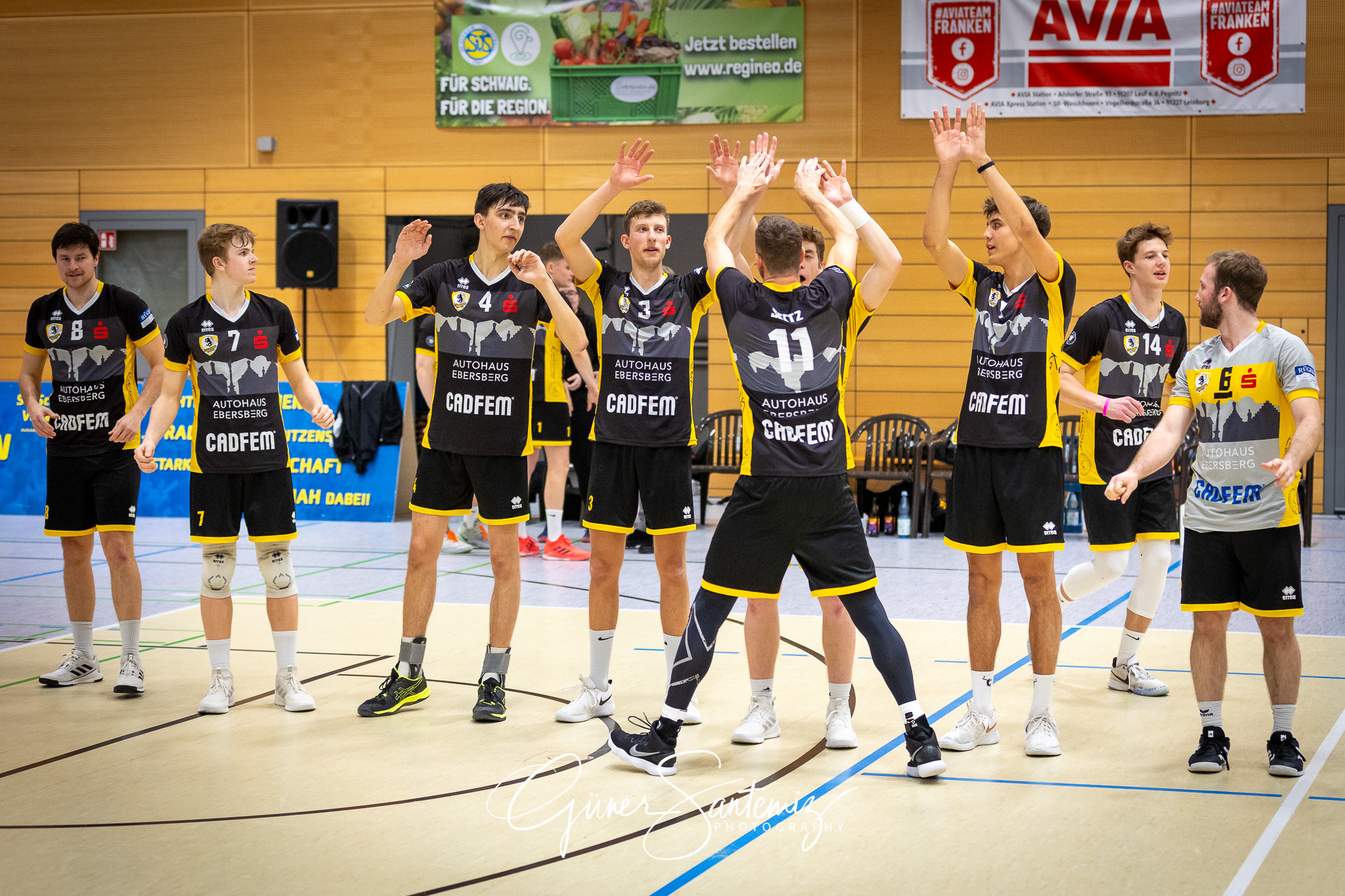 SV Schwaig Volleyball - TSV Grafing - Volleyball - 2. Bundesliga