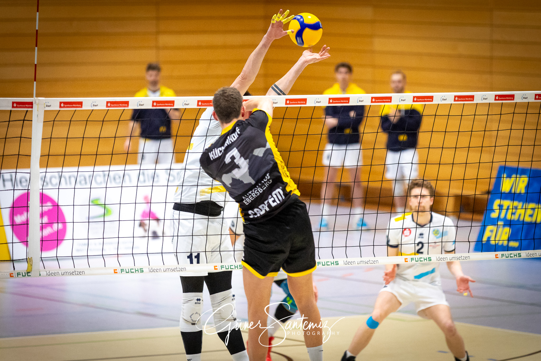 SV Schwaig Volleyball - TSV Grafing - Volleyball - 2. Bundesliga