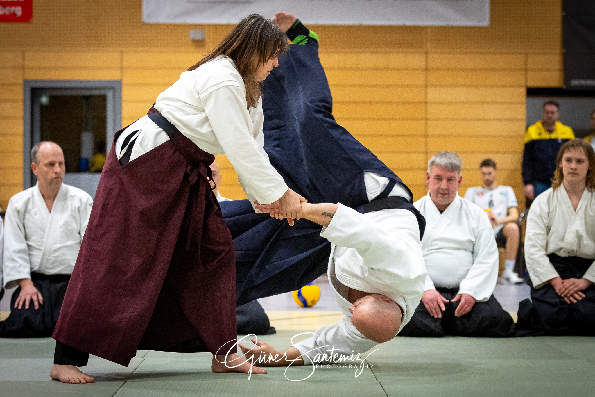 SV Schwaig Volleyball - Barock Volleys MTV Ludwigsburg - Volleyb