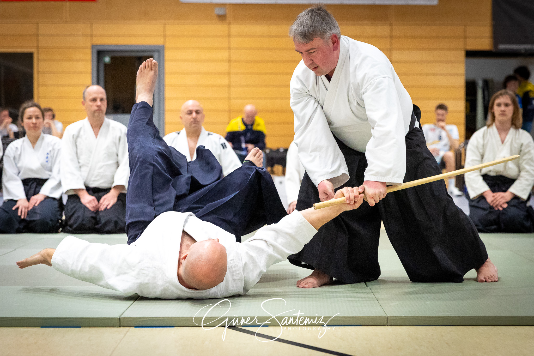SV Schwaig Volleyball - Barock Volleys MTV Ludwigsburg - Volleyb