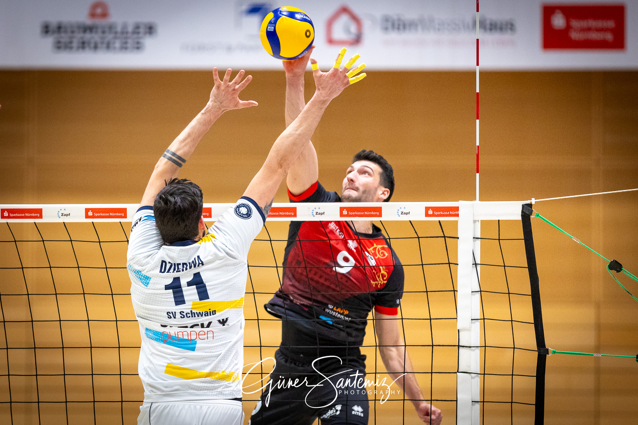 SV Schwaig Volleyball - Barock Volleys MTV Ludwigsburg - Volleyb