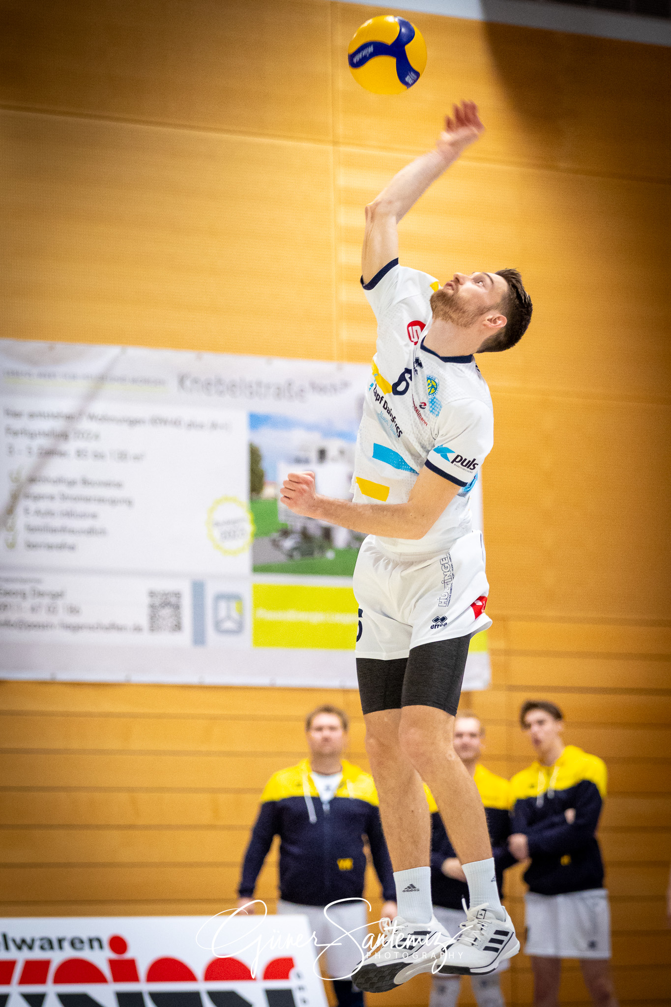 SV Schwaig Volleyball - Barock Volleys MTV Ludwigsburg - Volleyb