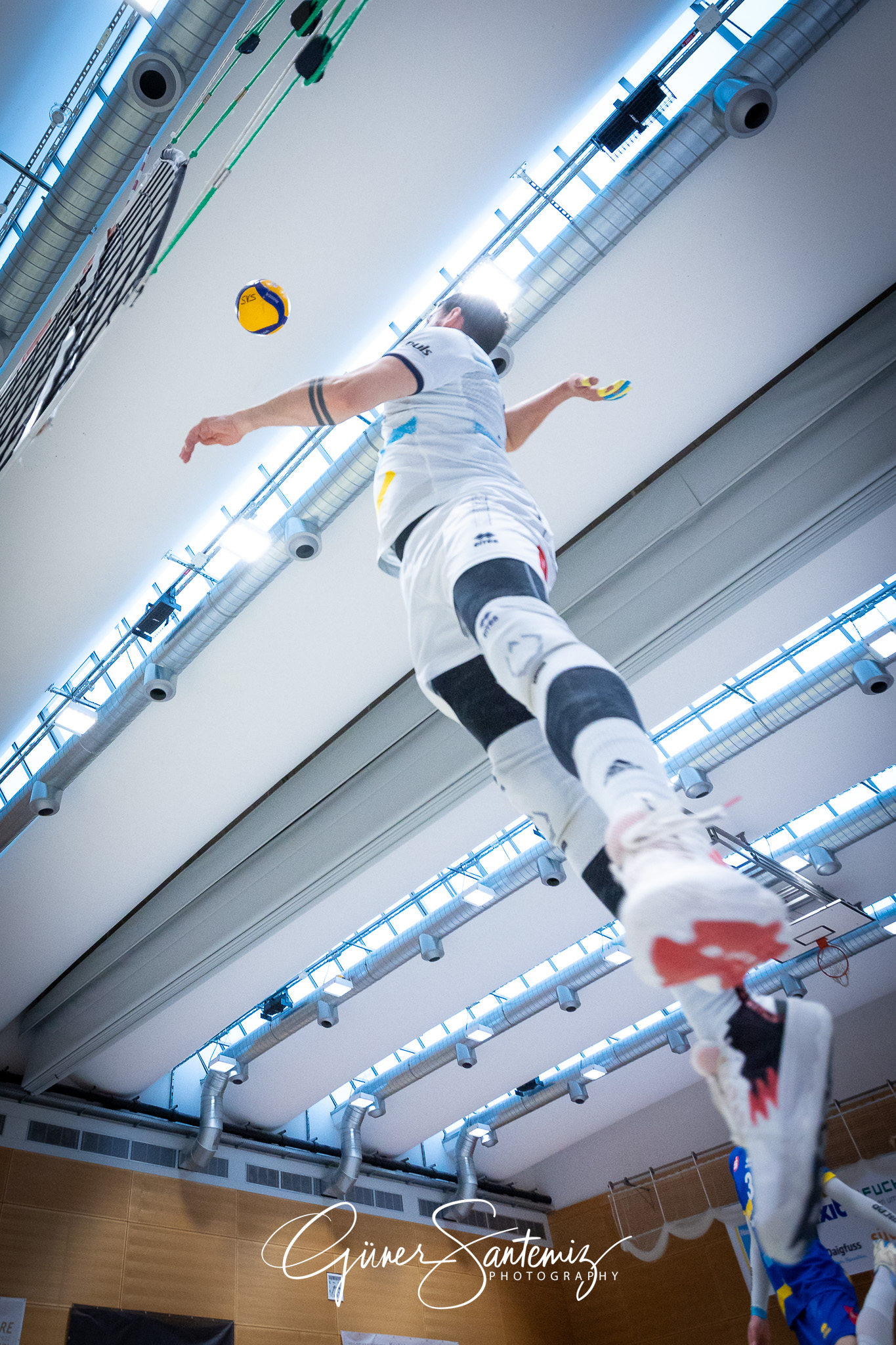 SV Schwaig Volleyball - TV Buehl - Volleyball - 2. Bundesliga Su