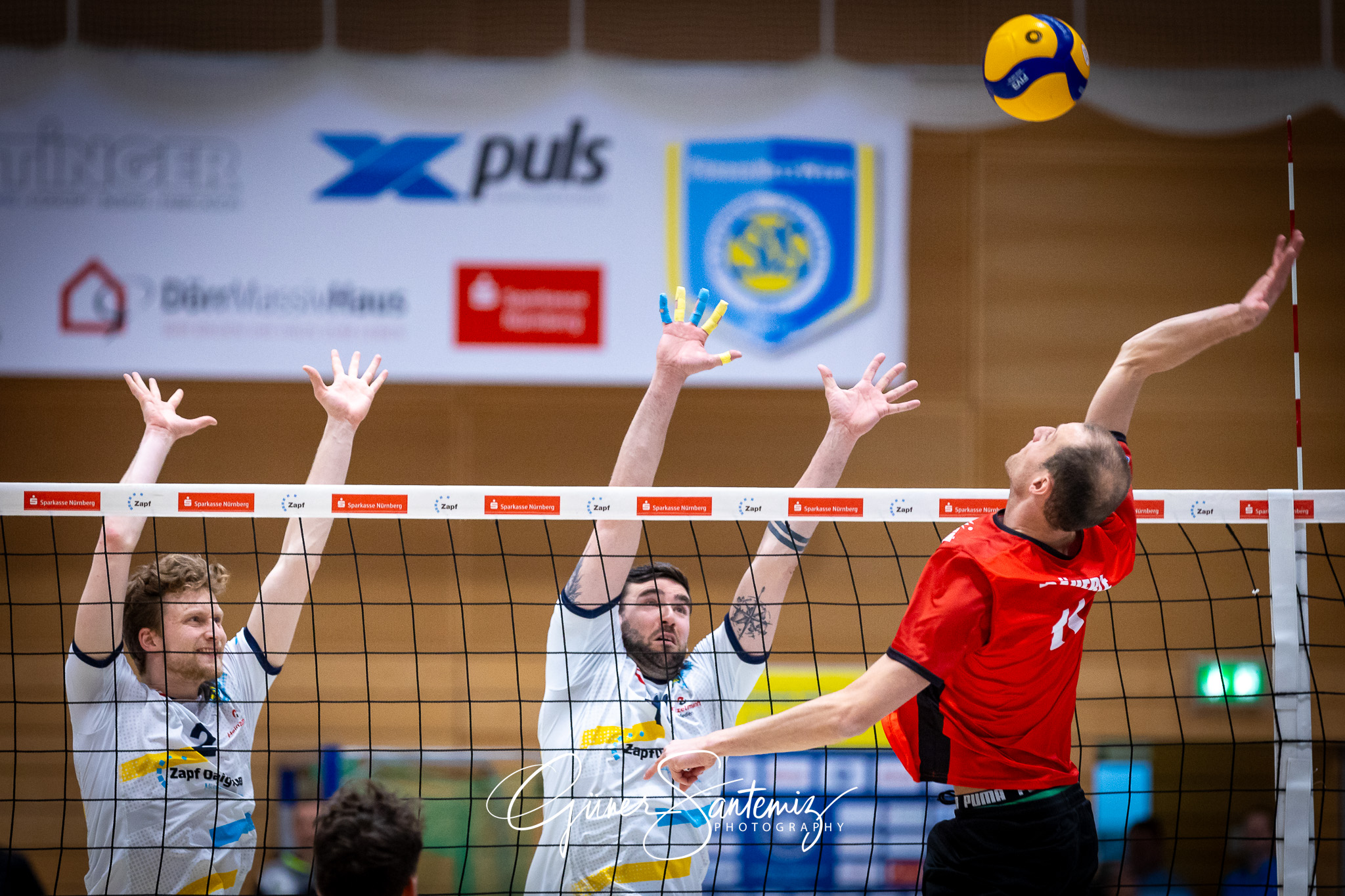 SV Schwaig Volleyball - TV Buehl - Volleyball - 2. Bundesliga Su