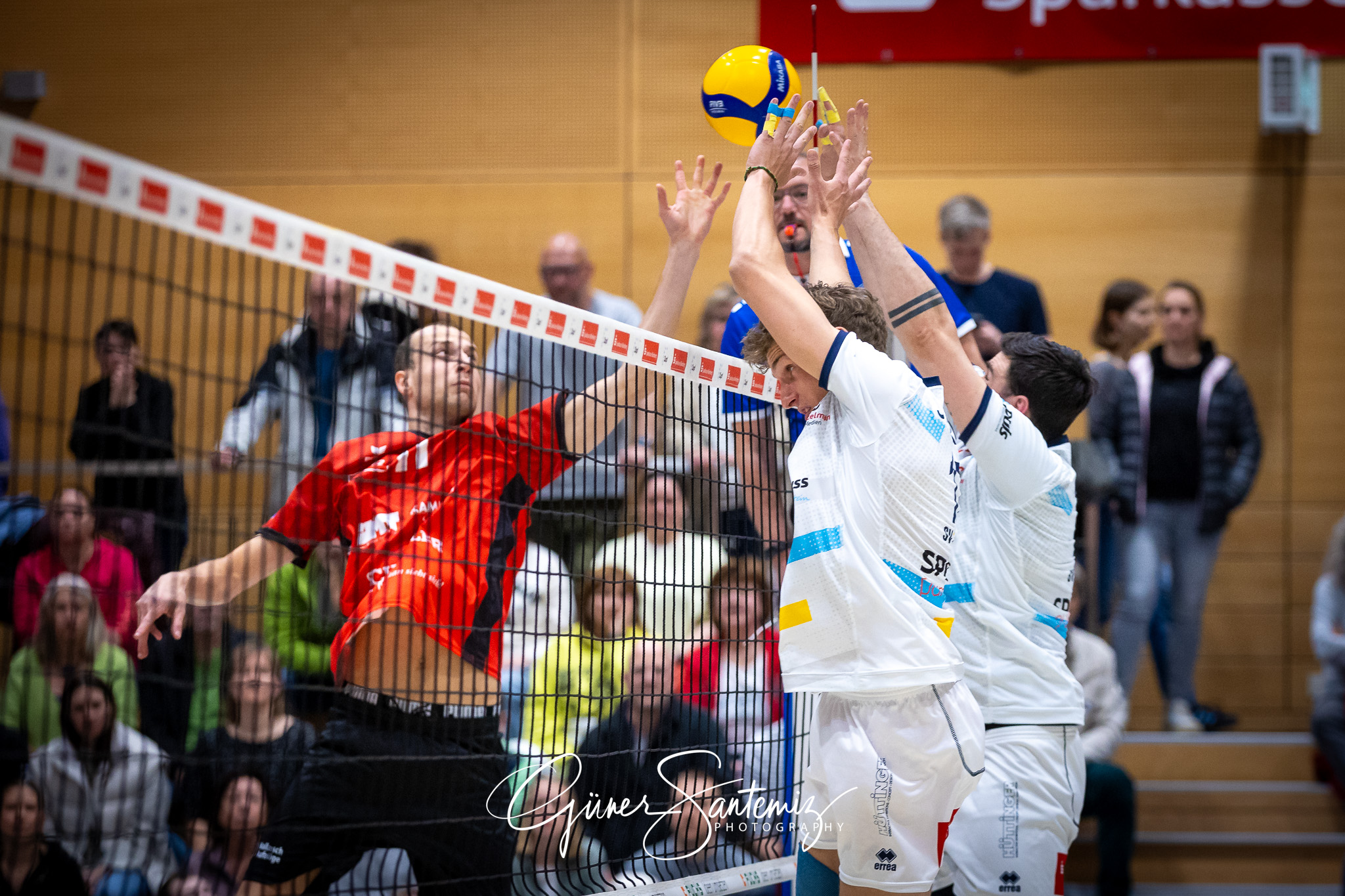 SV Schwaig Volleyball - TV Buehl - Volleyball - 2. Bundesliga Su