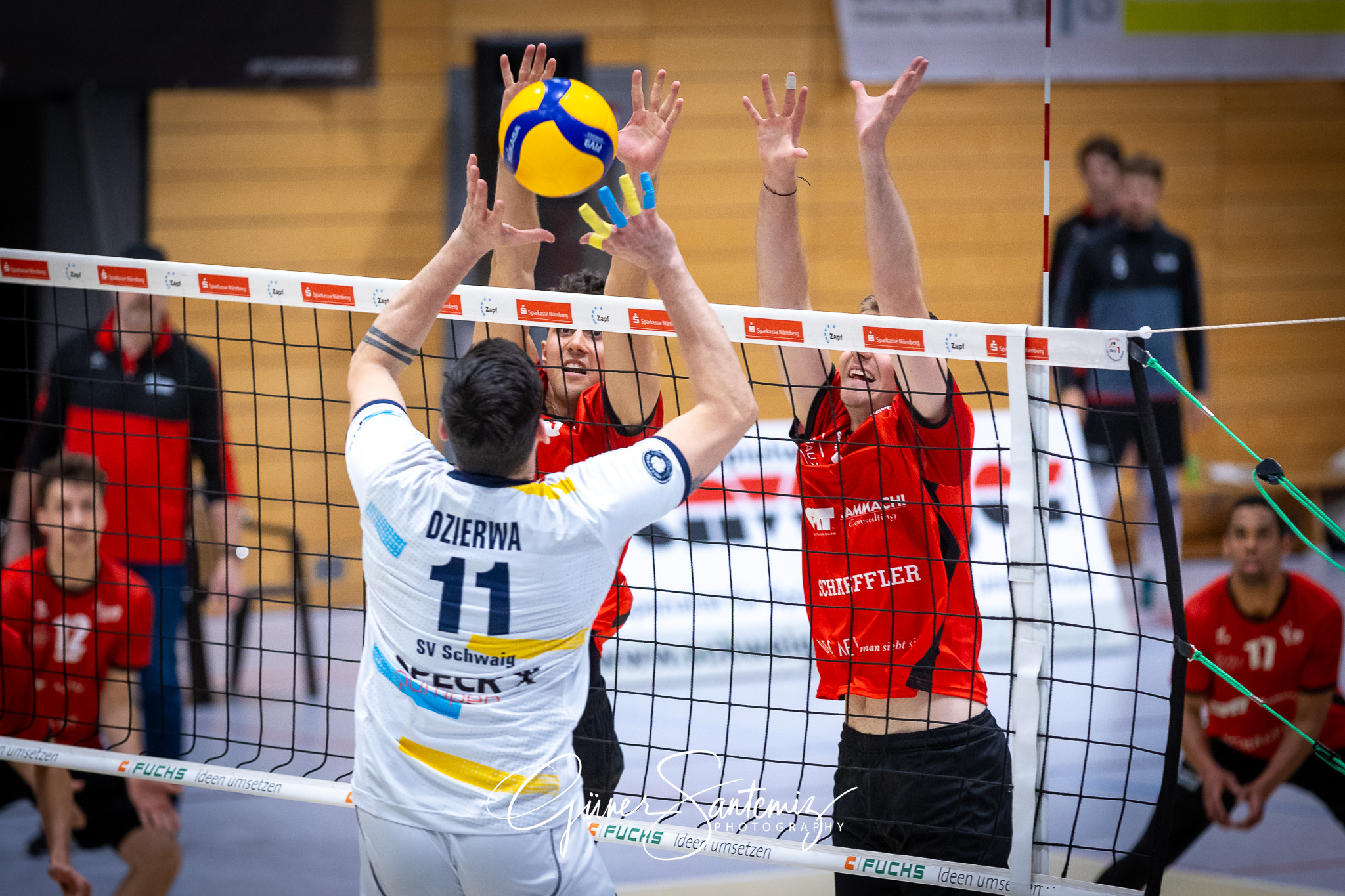 SV Schwaig Volleyball - TV Buehl - Volleyball - 2. Bundesliga Su